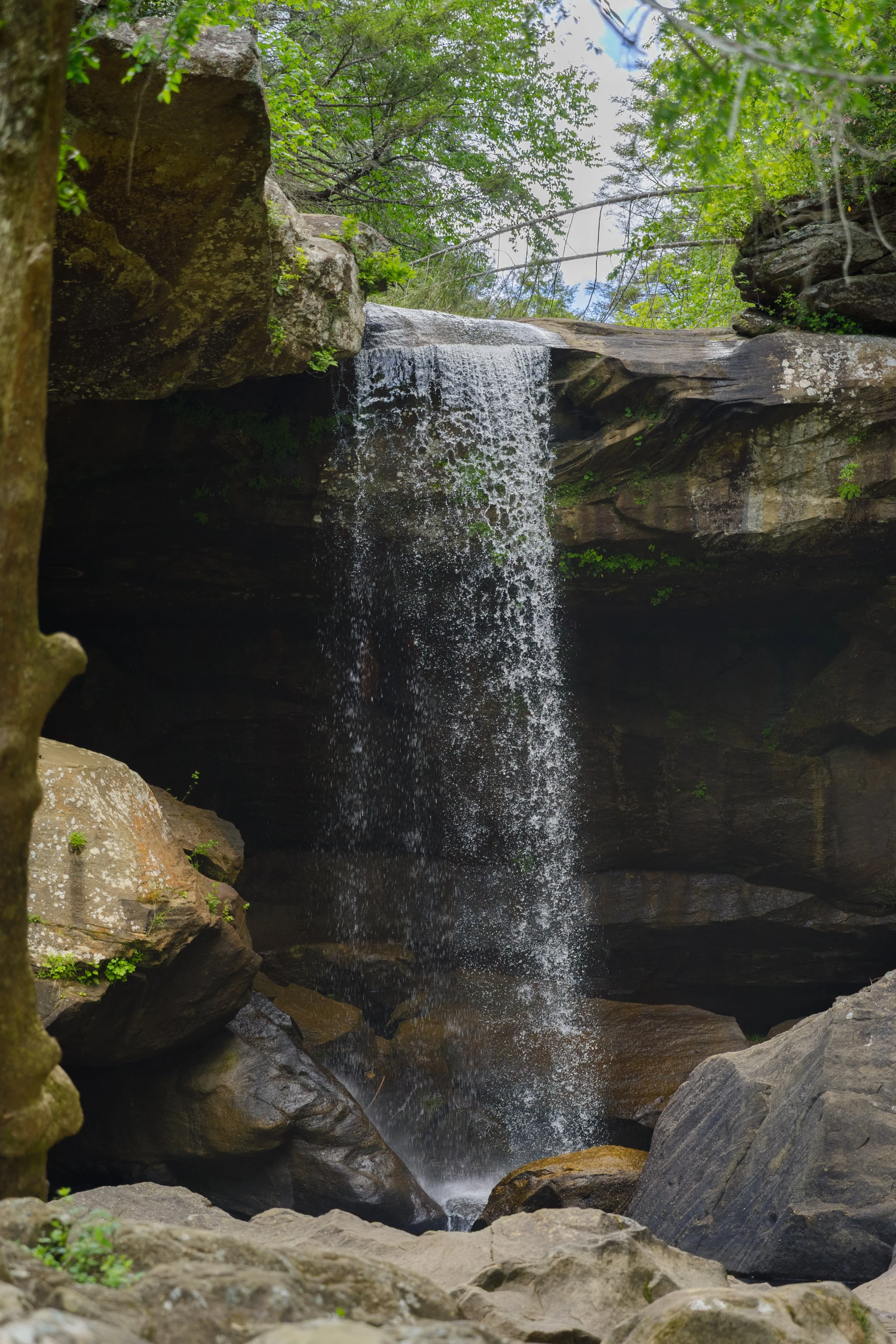 _14A5620-HDR.JPG