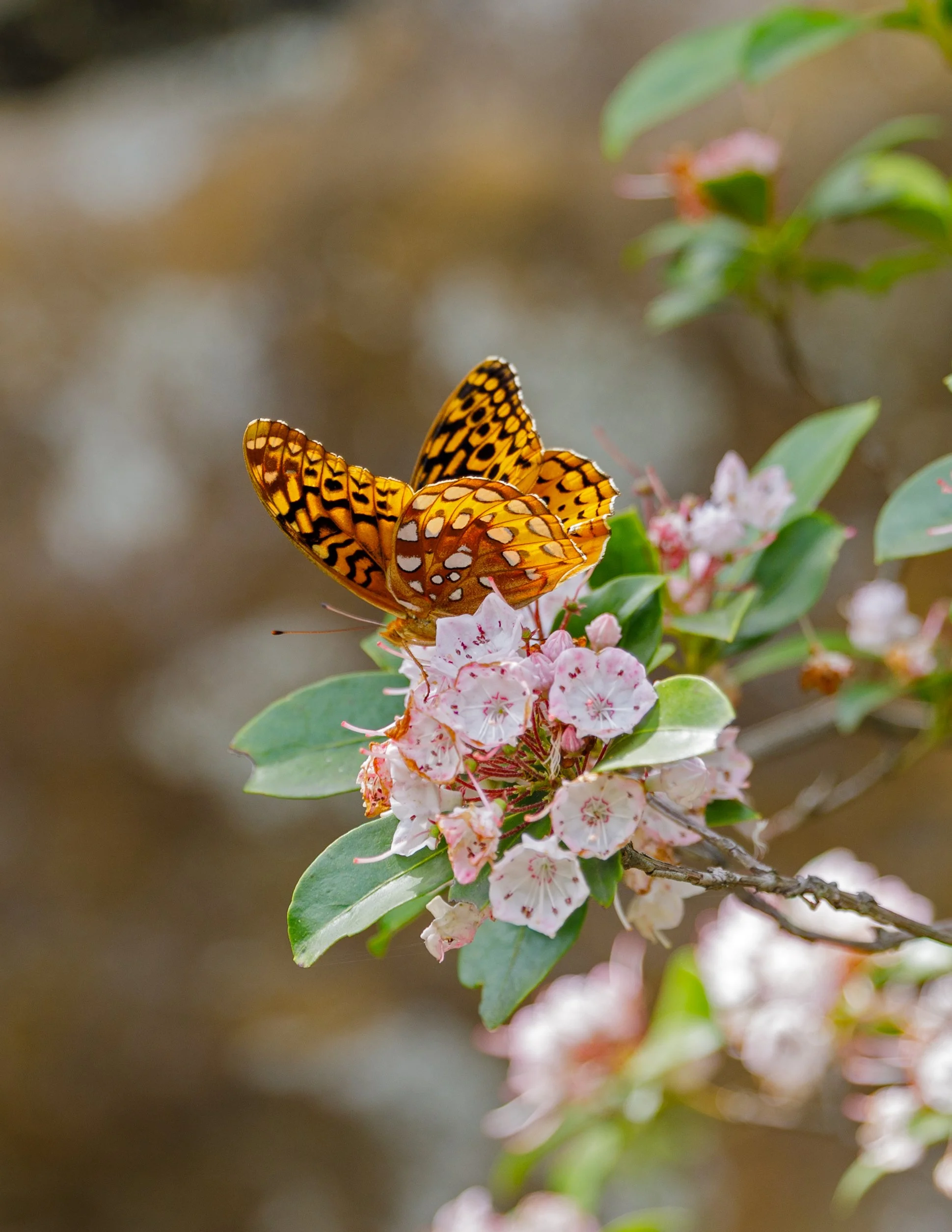 _14A5846-Edit.JPG