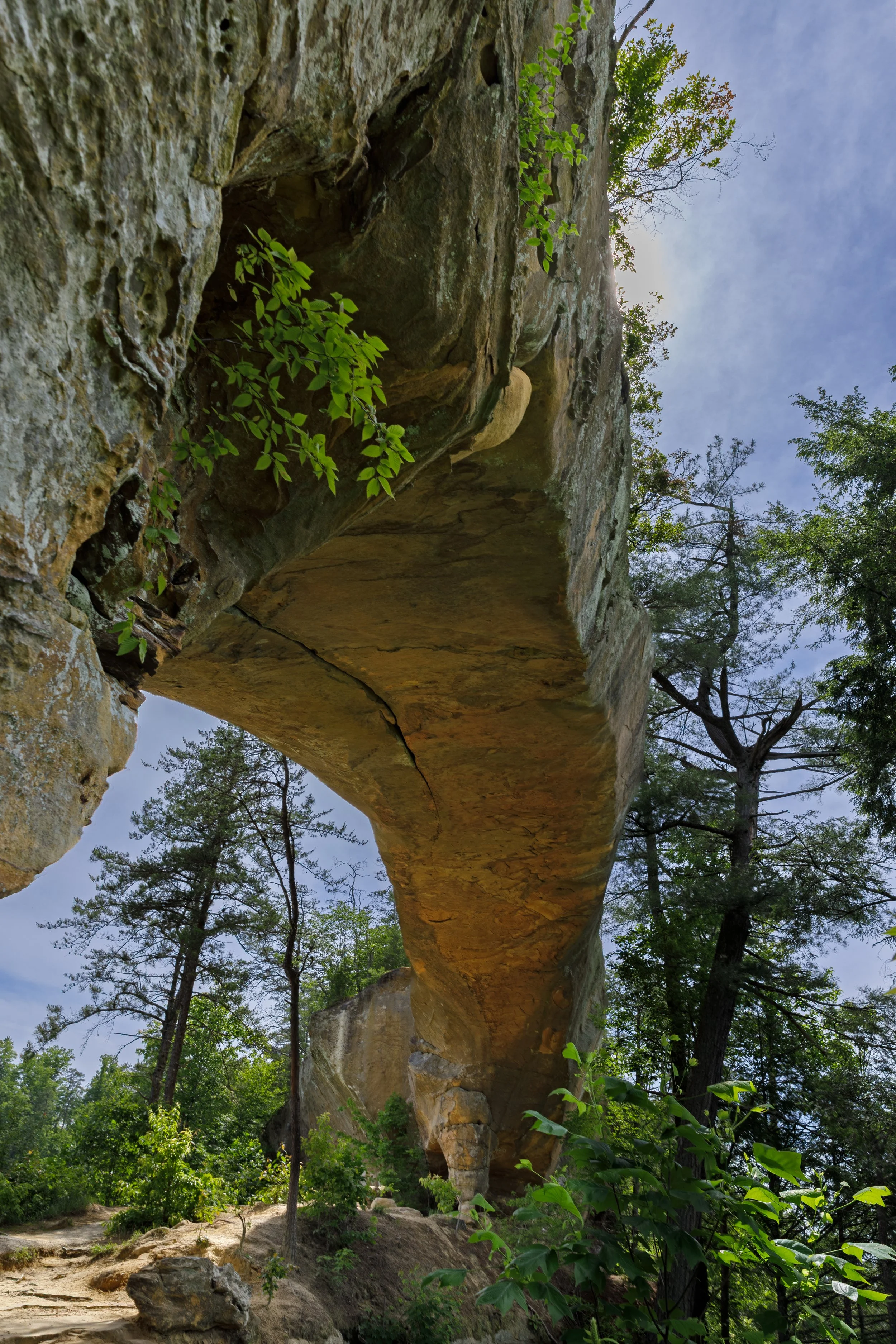 _14A5879-HDR-Edit.JPG