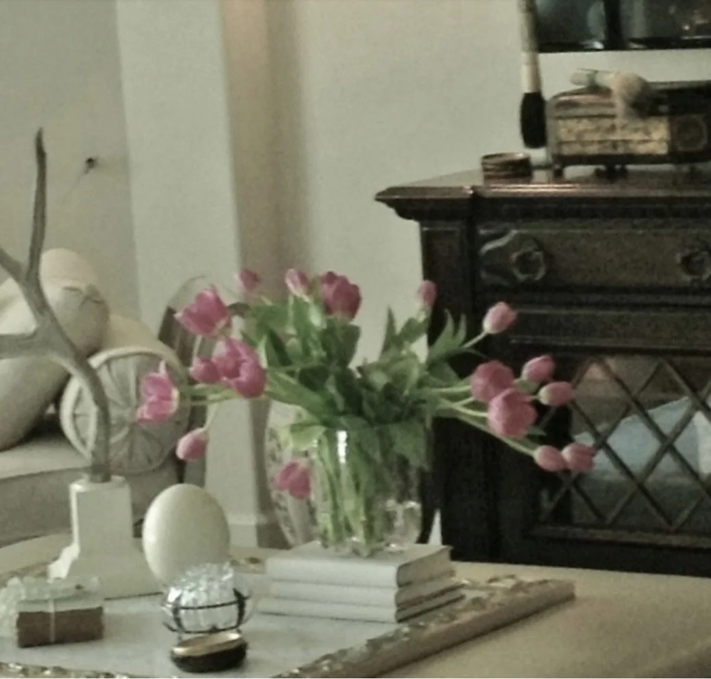 Screenshot 2026-03-20 at 11.31.40 AM.jpeg