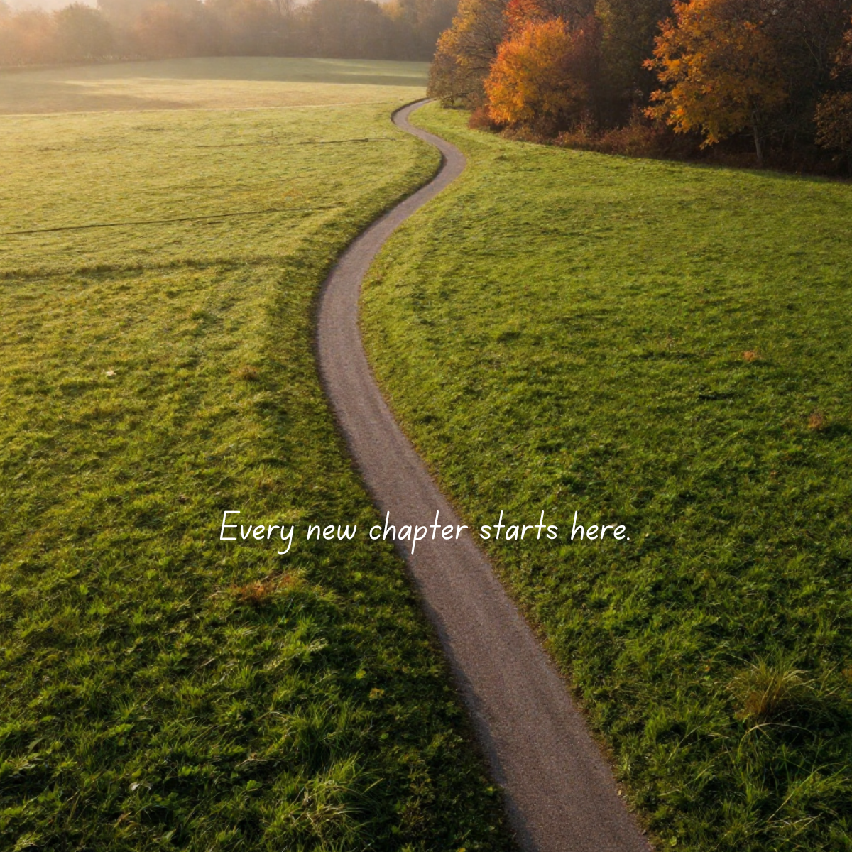 A winding dirt path through a grassy field with trees displaying fall colors in the background. The scene is bathed in warm sunlight, with the text 'Every new chapter starts here.' overlaid.
