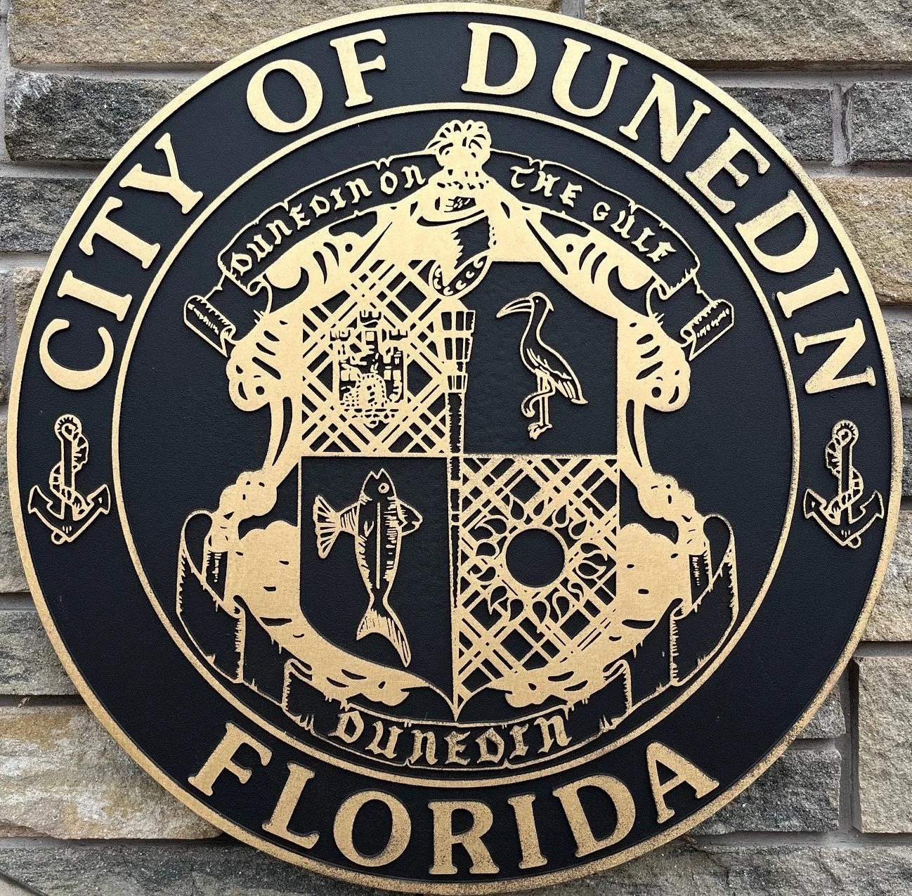 DunedinSeal.jpg