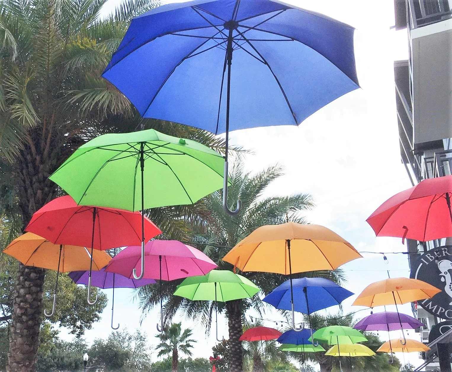 Umbrellas2.jpg