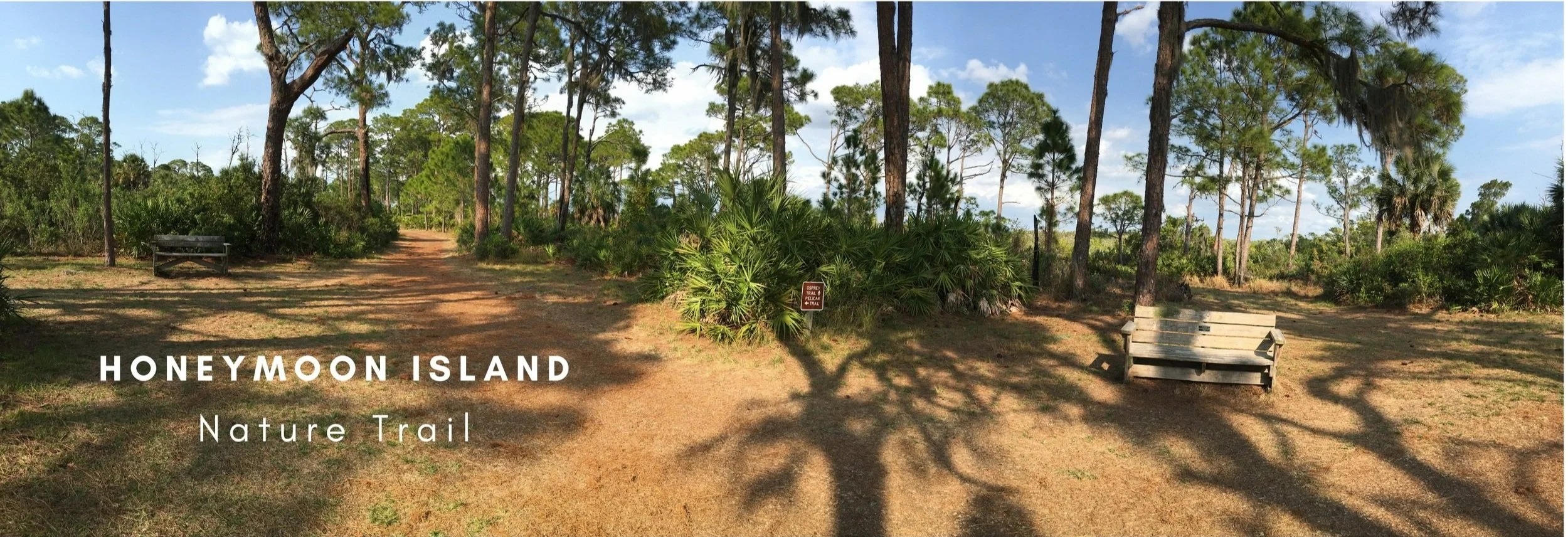 Honeymoon Island Facebook Cover.jpg