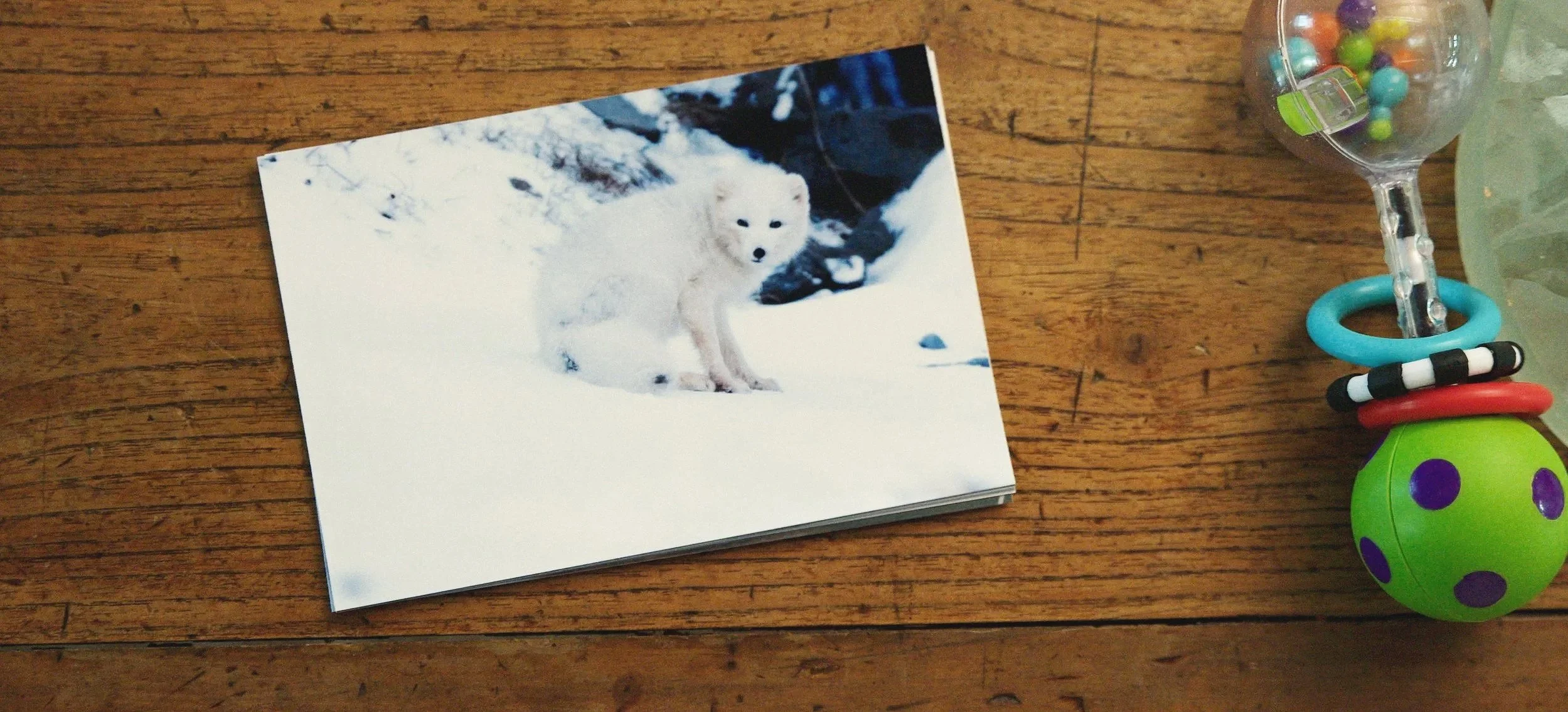 ARCTIC_FOX_STILLS13.jpg