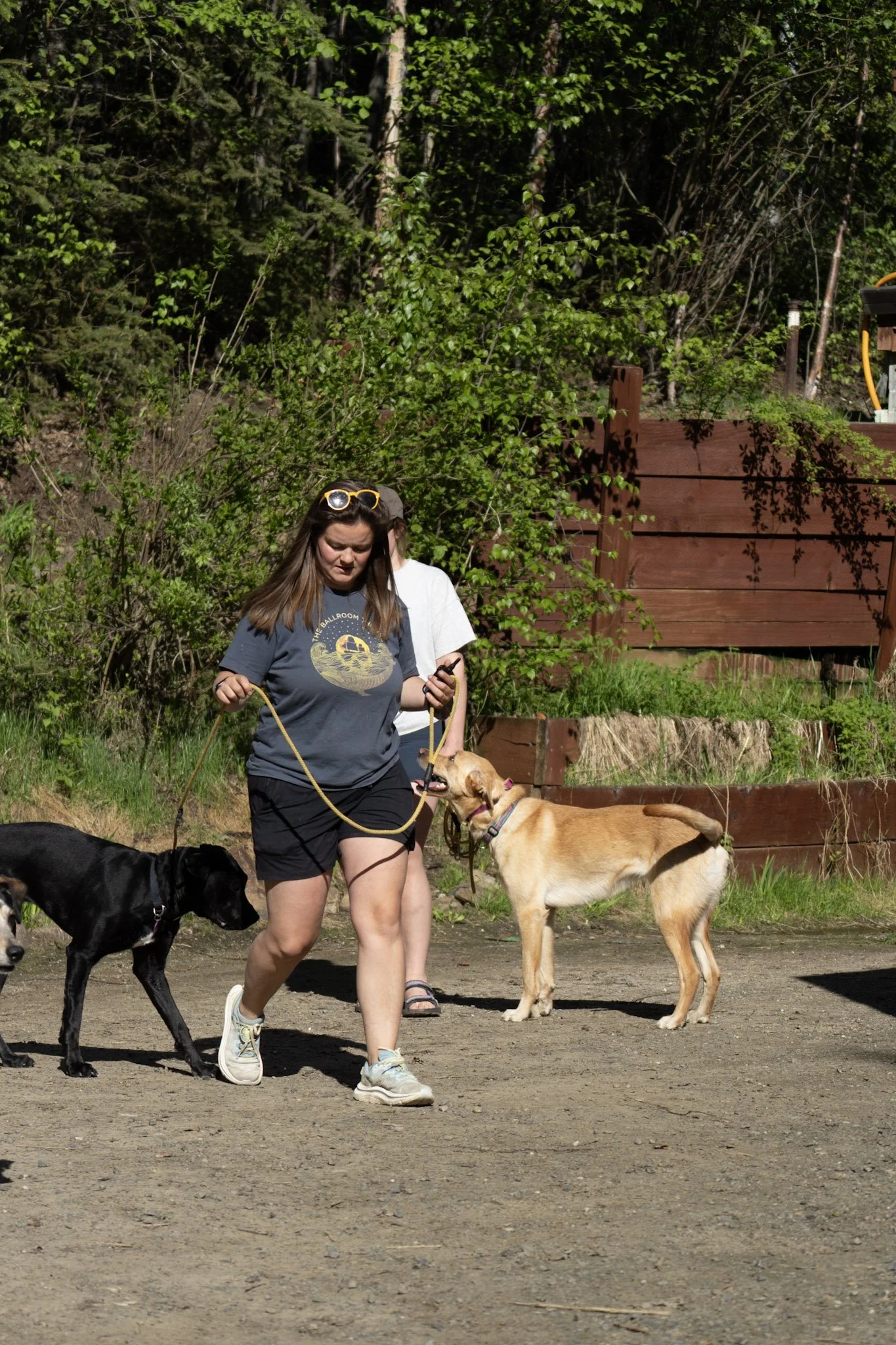 October Pack Walk / Pass Bys