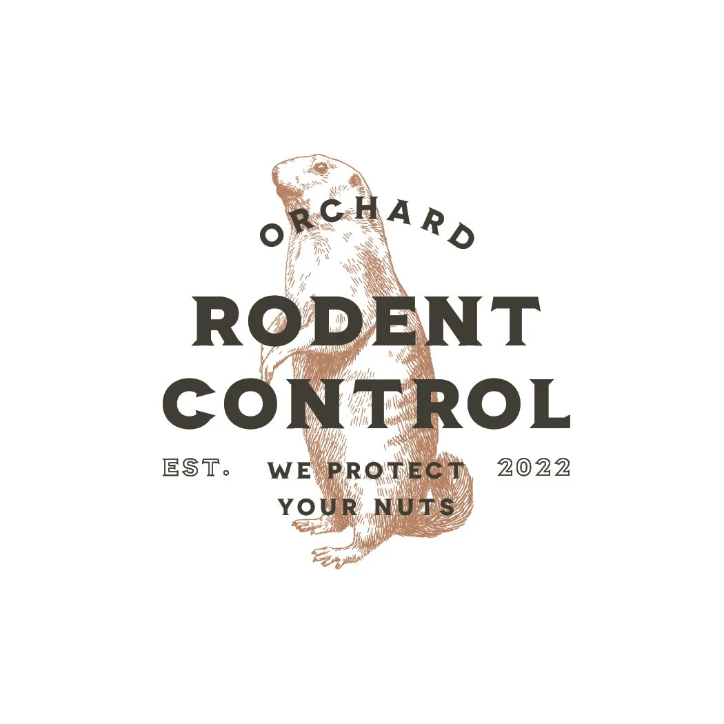 Logo & brand identity design by Gretchen Design Studio