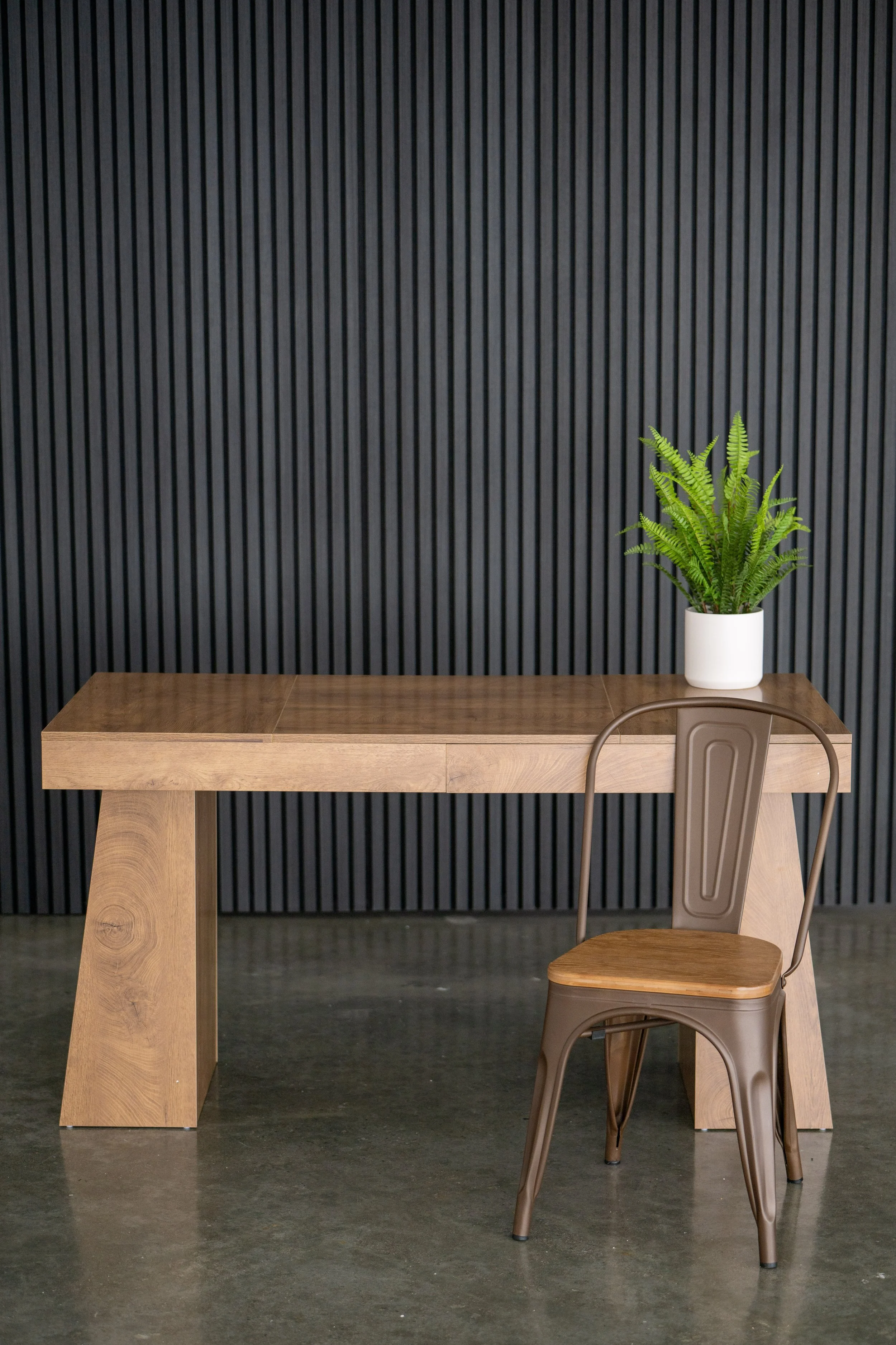 Modern wood desk with plant at Morningstar Studio in Centennial, CO
