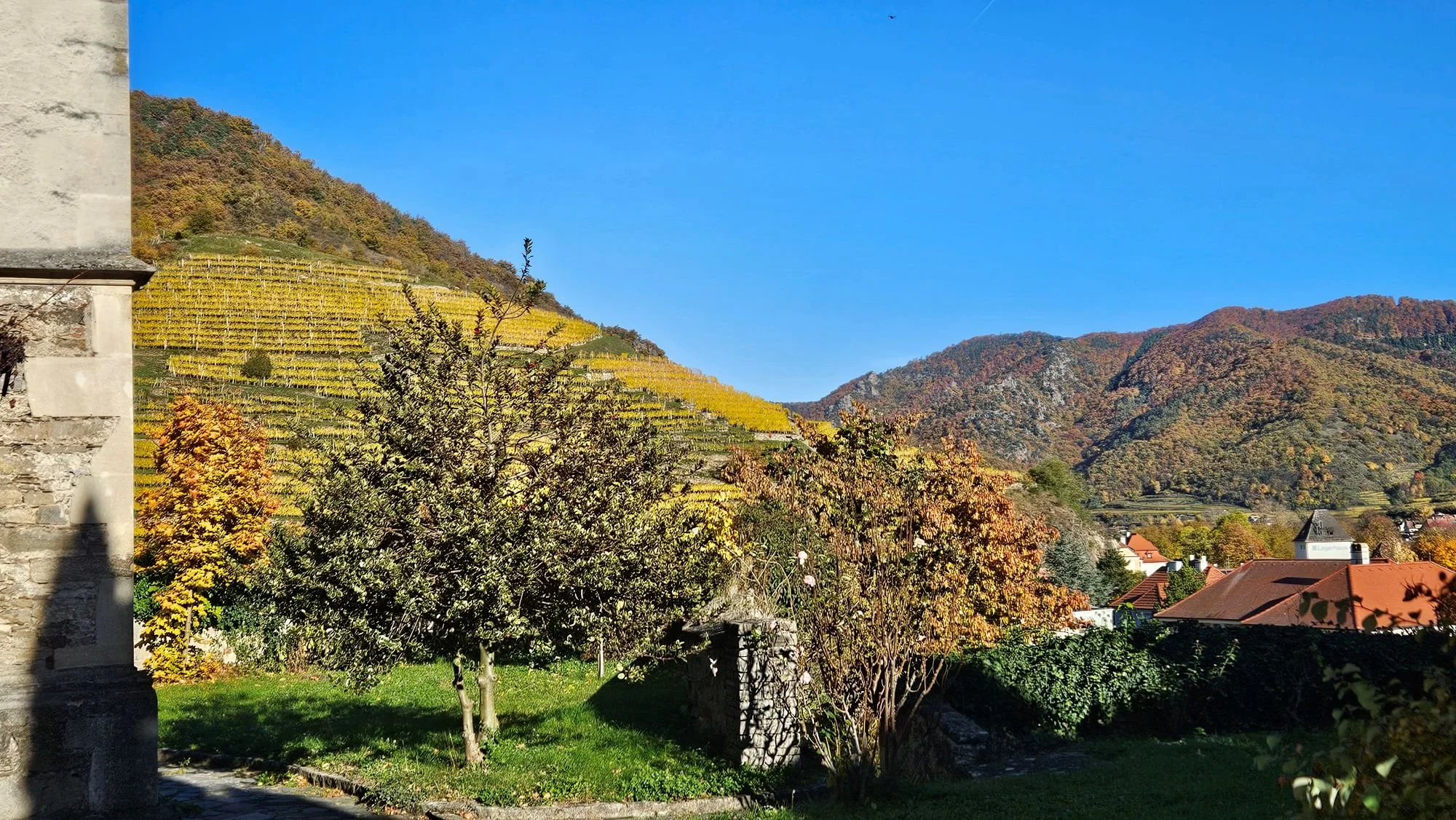 2 20251029_141811.jpg