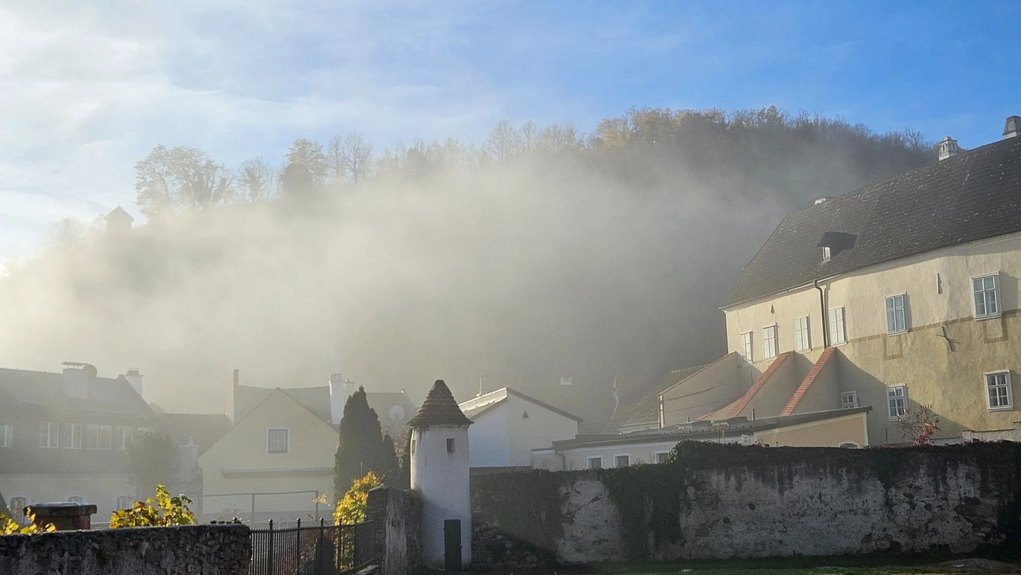 2 20251031_083707.jpg