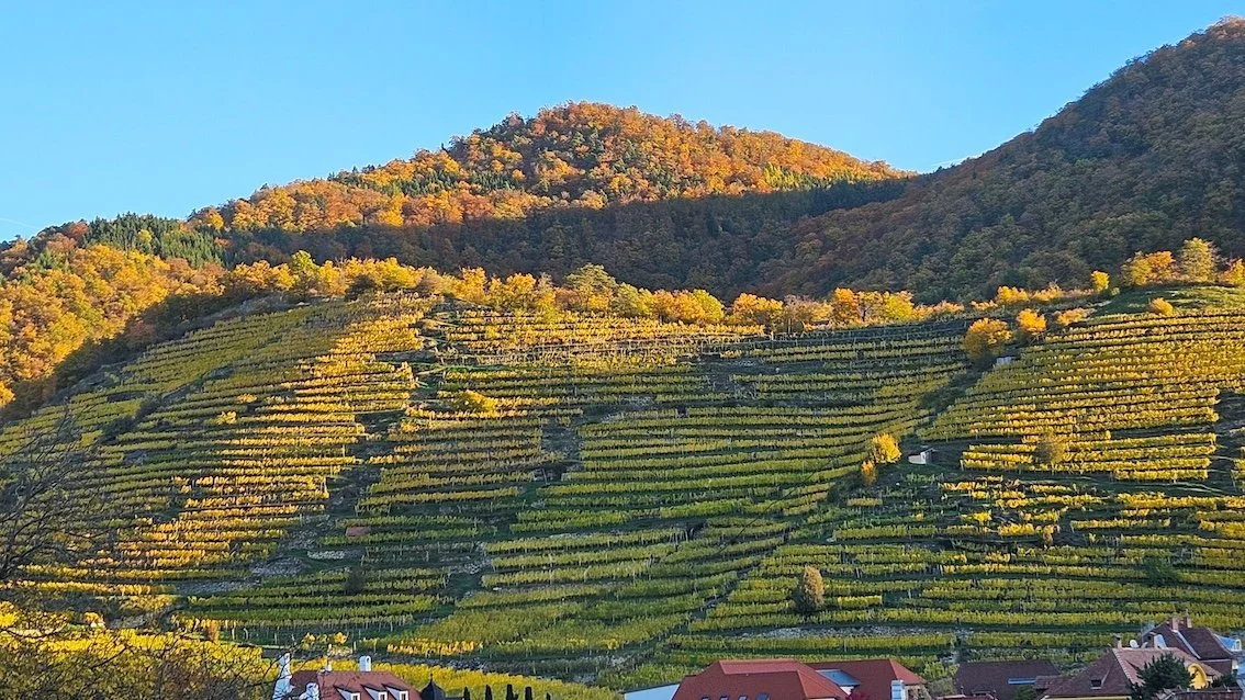 2 20251029_073011.jpg