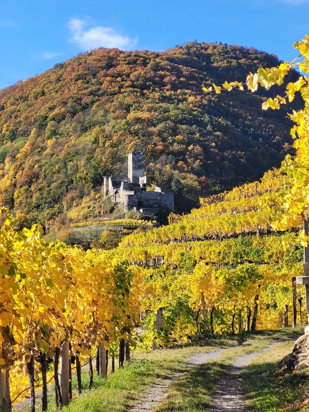 4_Hinterhaus-Herbst.jpeg