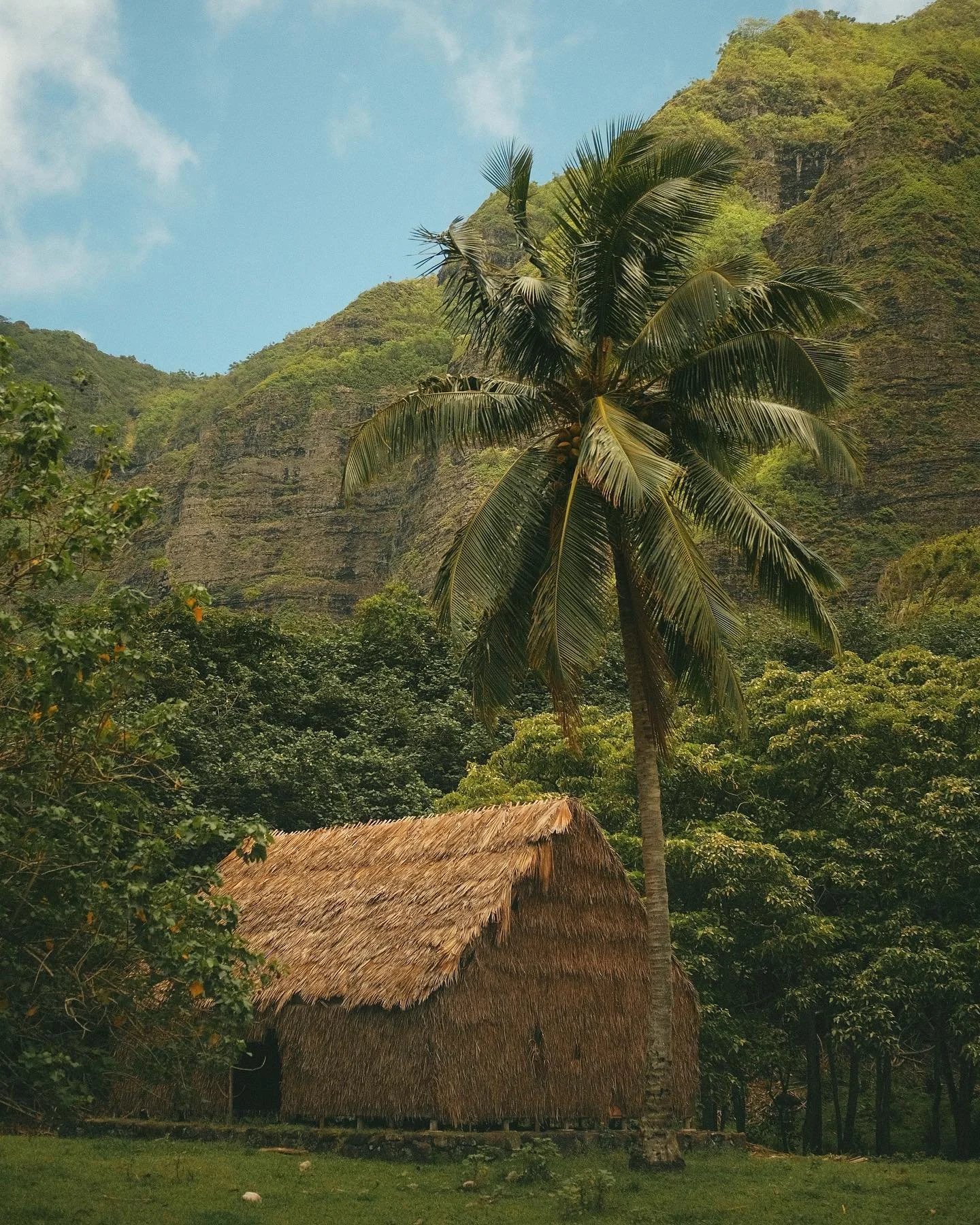 postcards from the island🌴