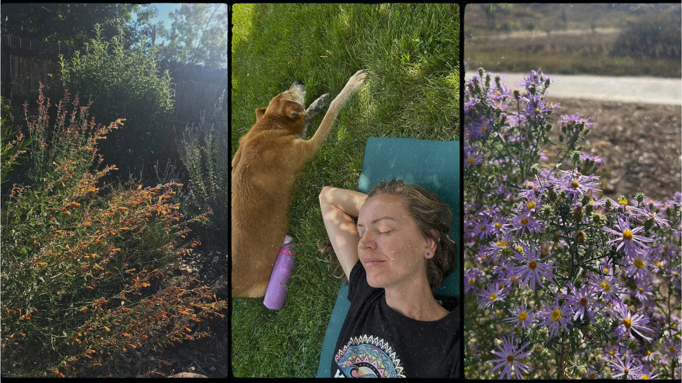 Free Outdoor Yoga @ True Nature Gardens