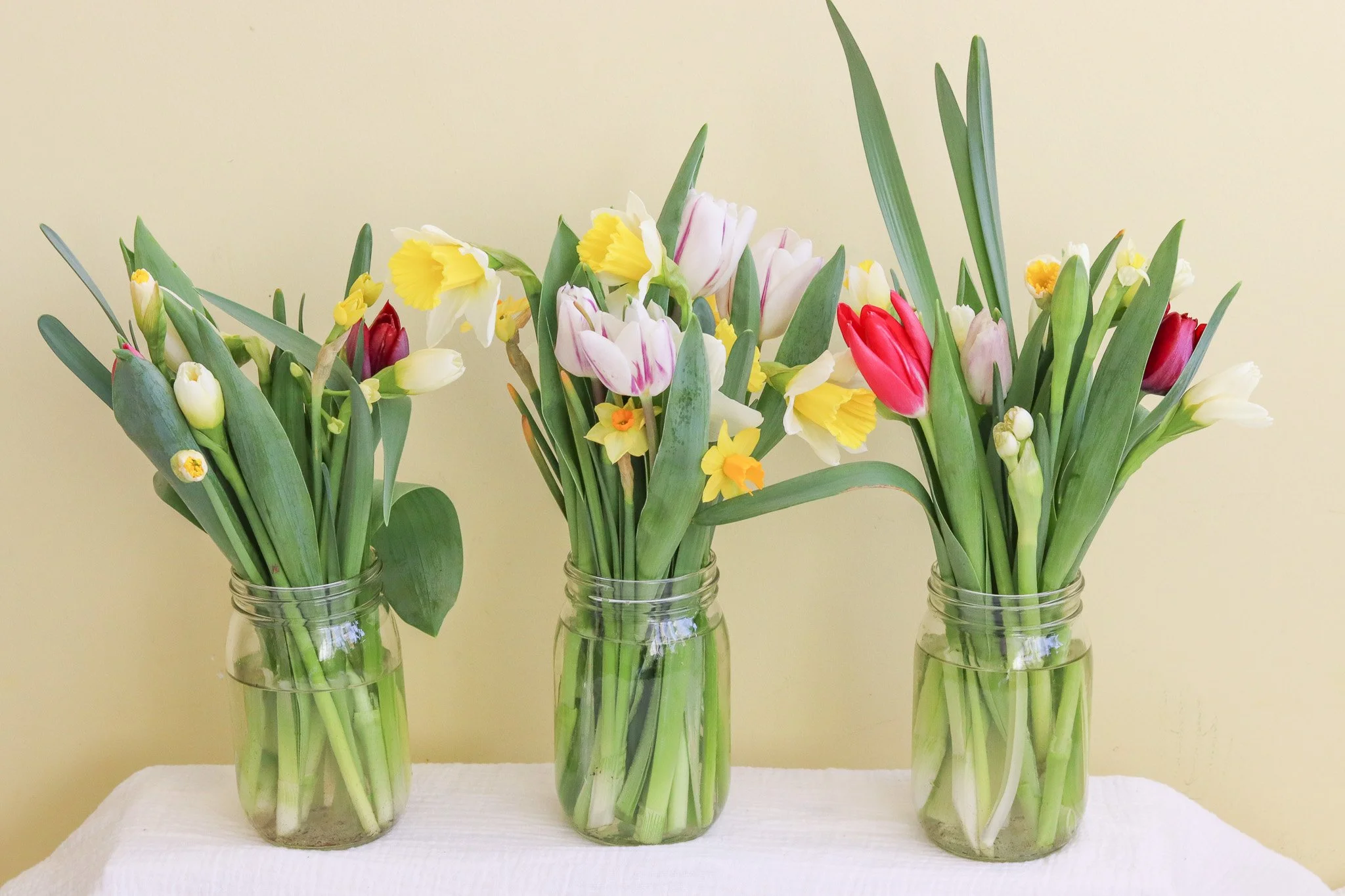 Greenhouse Tulips Mason Jars.jpg