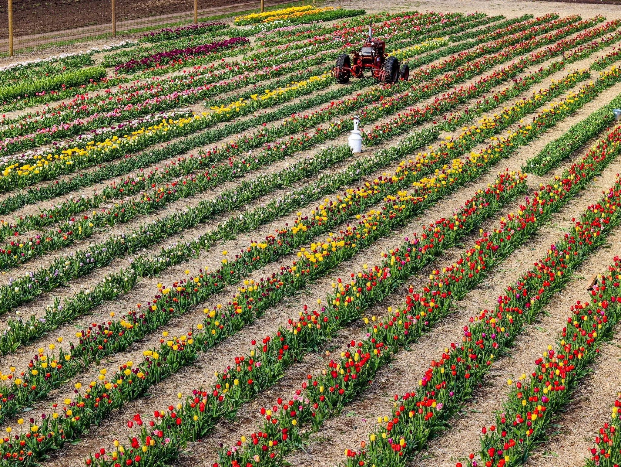 IMG_4120-EDIT (1).jpg