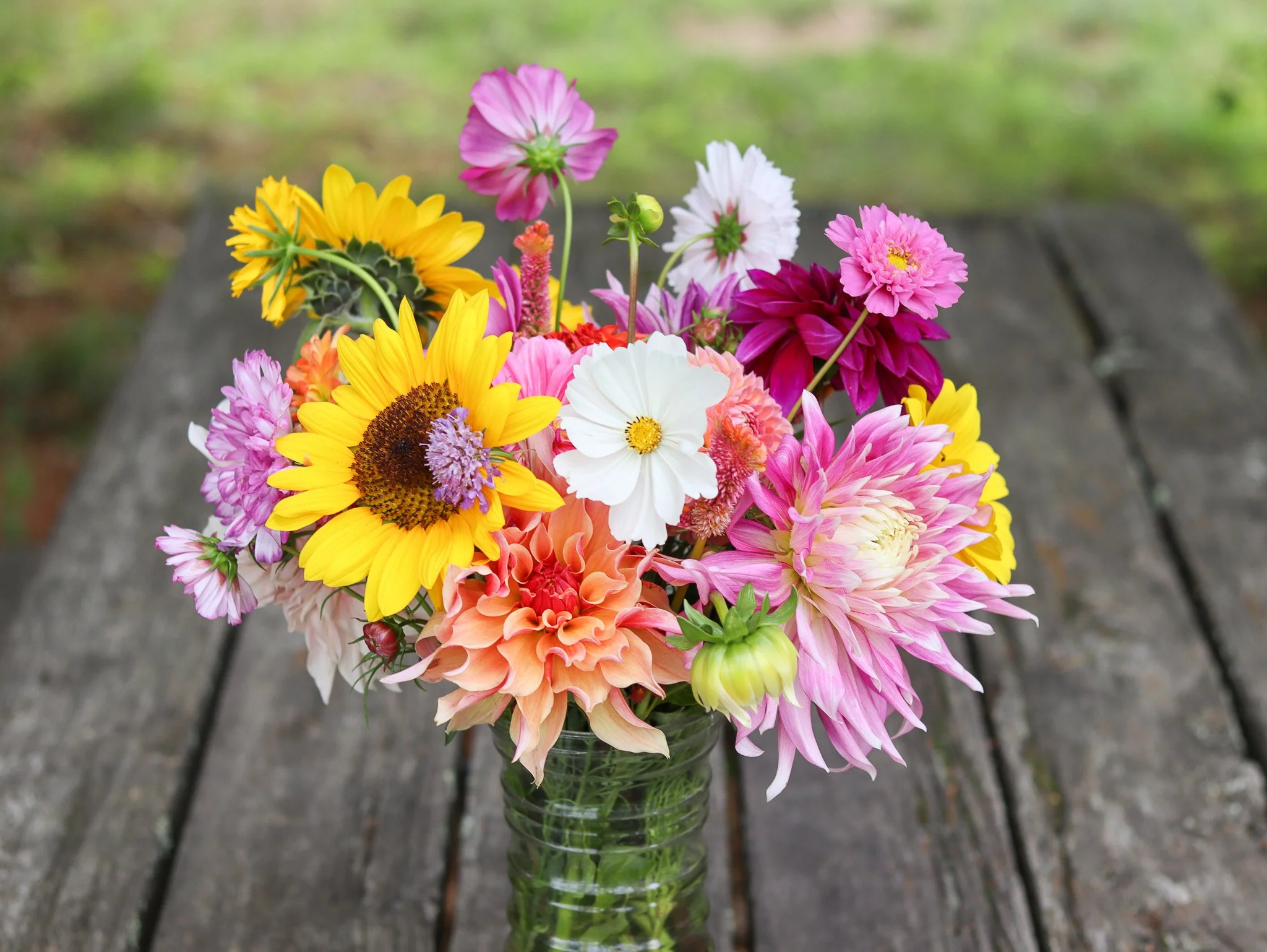 2026 PYO Flower Share