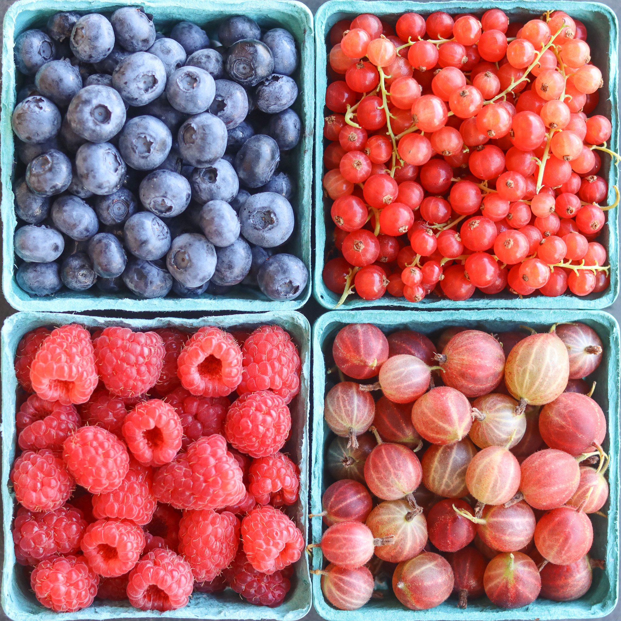 WBF Blueberry Currant Raspberry Gooseberry.jpg