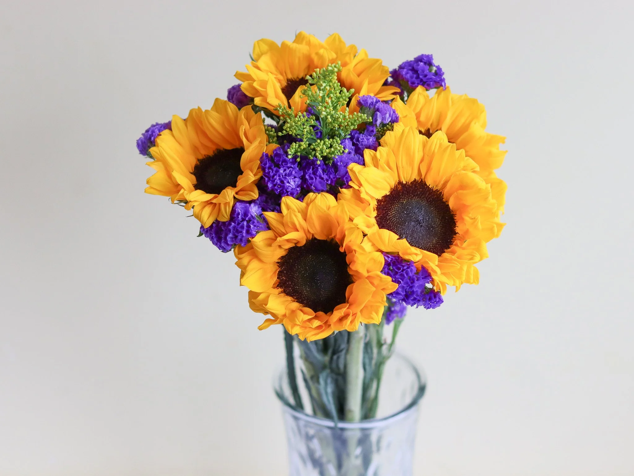 Sunflower Wilson.jpg