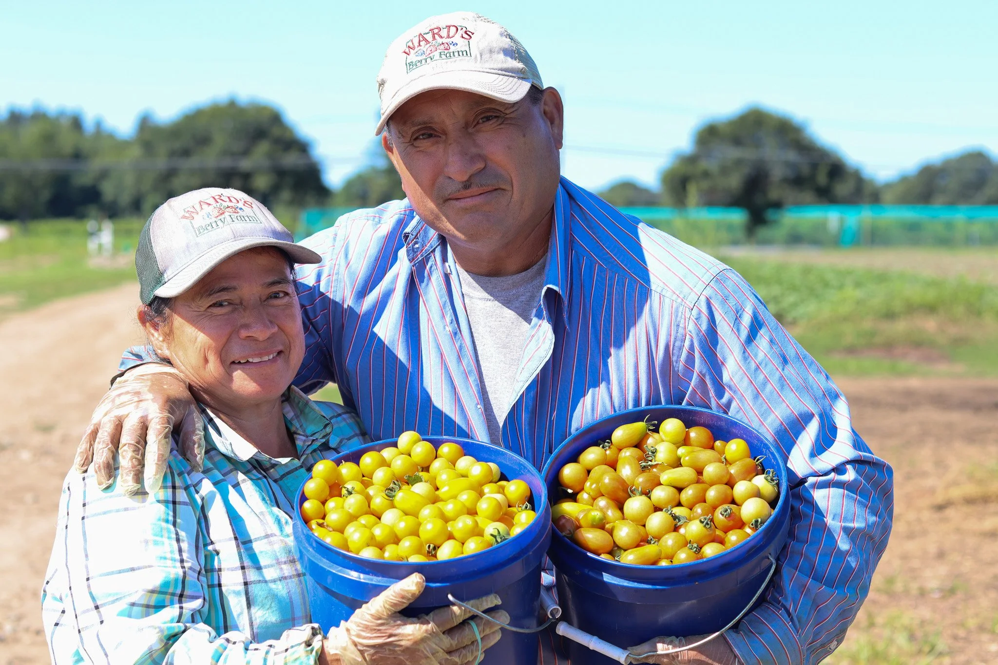 Reuben and Aura tomatoes.jpg