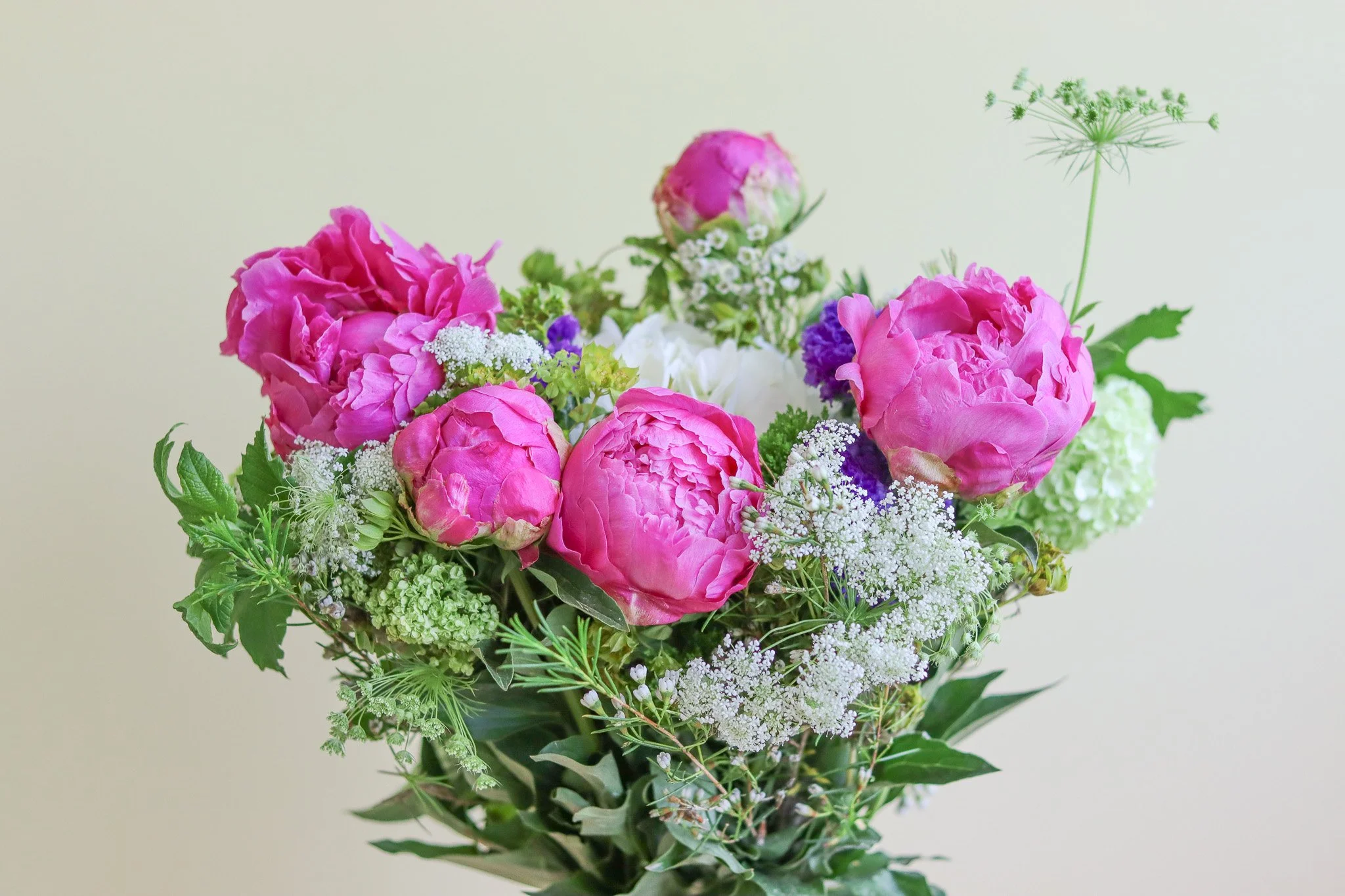 Mother's Day Peony.jpg