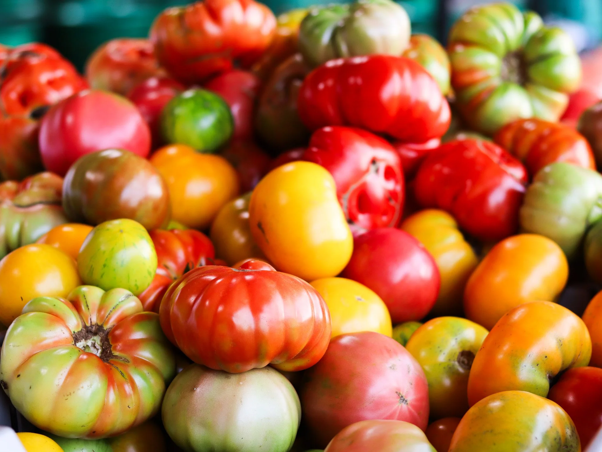 WBF Heirloom Tomato Grading.jpg