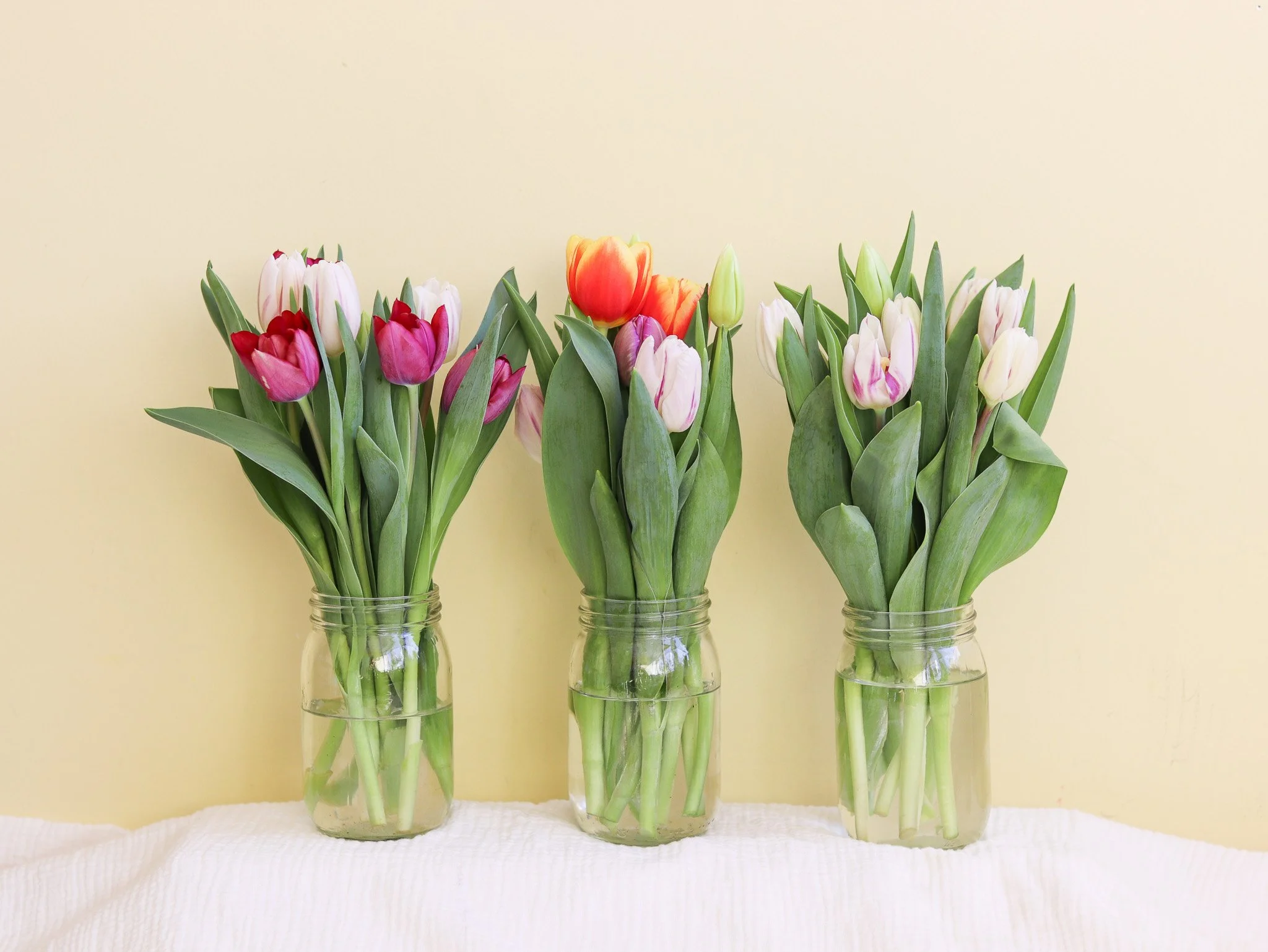 Greenhouse tulips jar.jpg