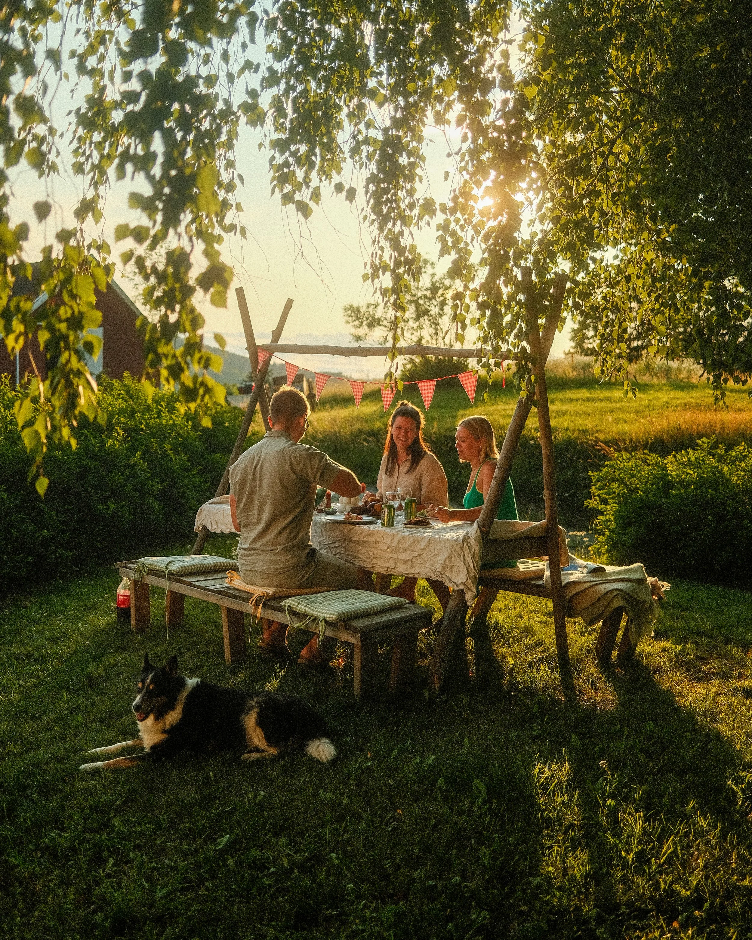 A group of three people sitting at a picnic table outdoors under a tree during sunset, with a black and white dog lying on the grass nearby. There are festive red checkered bunting banners hanging overhead.