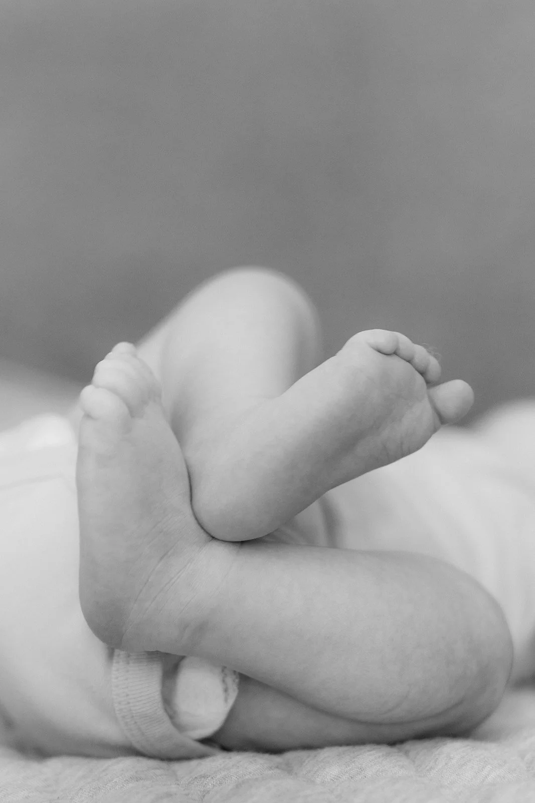 JacksonNB2025_AllieSilkwoodPhoto-5_websize.jpg