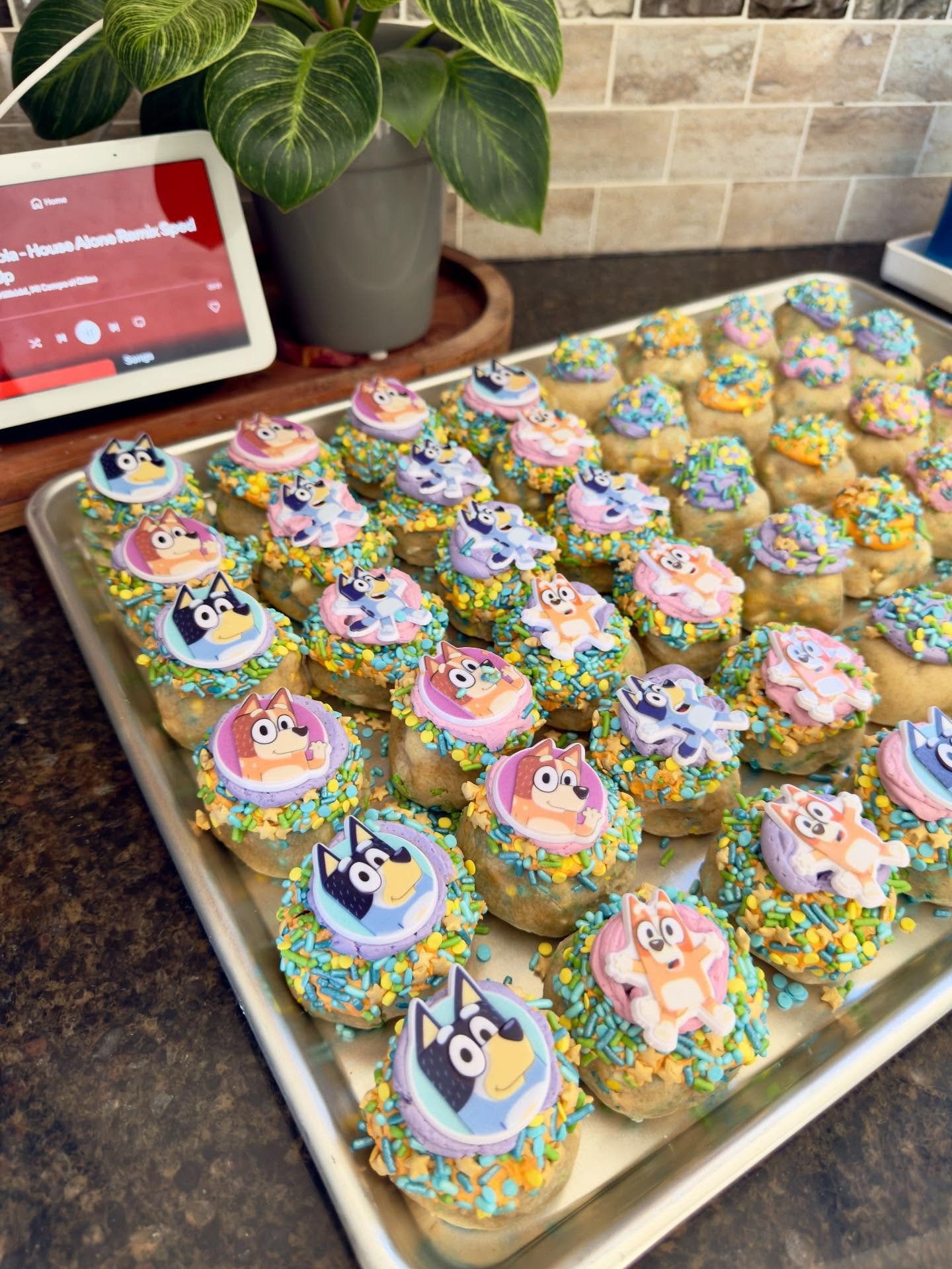 💙🐾 When one of our top CookieYumm supporters (since our first-ever kitchen bakes 🥹🍪) asked for Bluey-inspired cookies loaded with white chocolate chips + sprinkles, you know we had to make it happen. And let&rsquo;s just say&hellip; these cookies