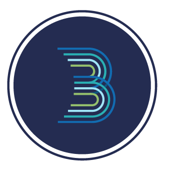 Be the Bridge Project