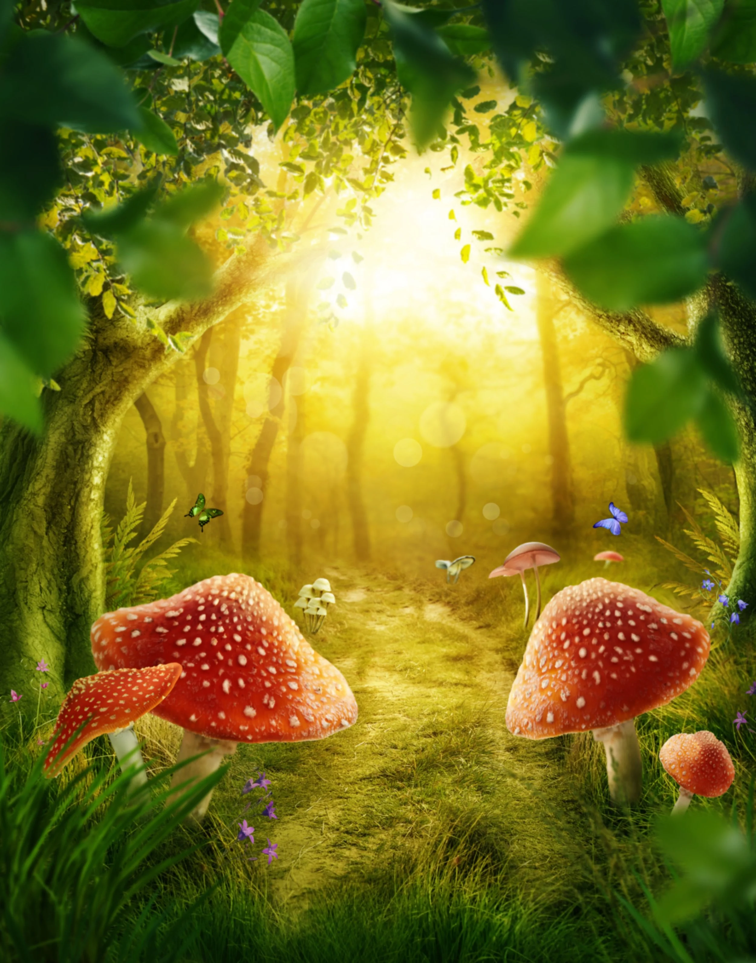 25 Enchanted Forest
