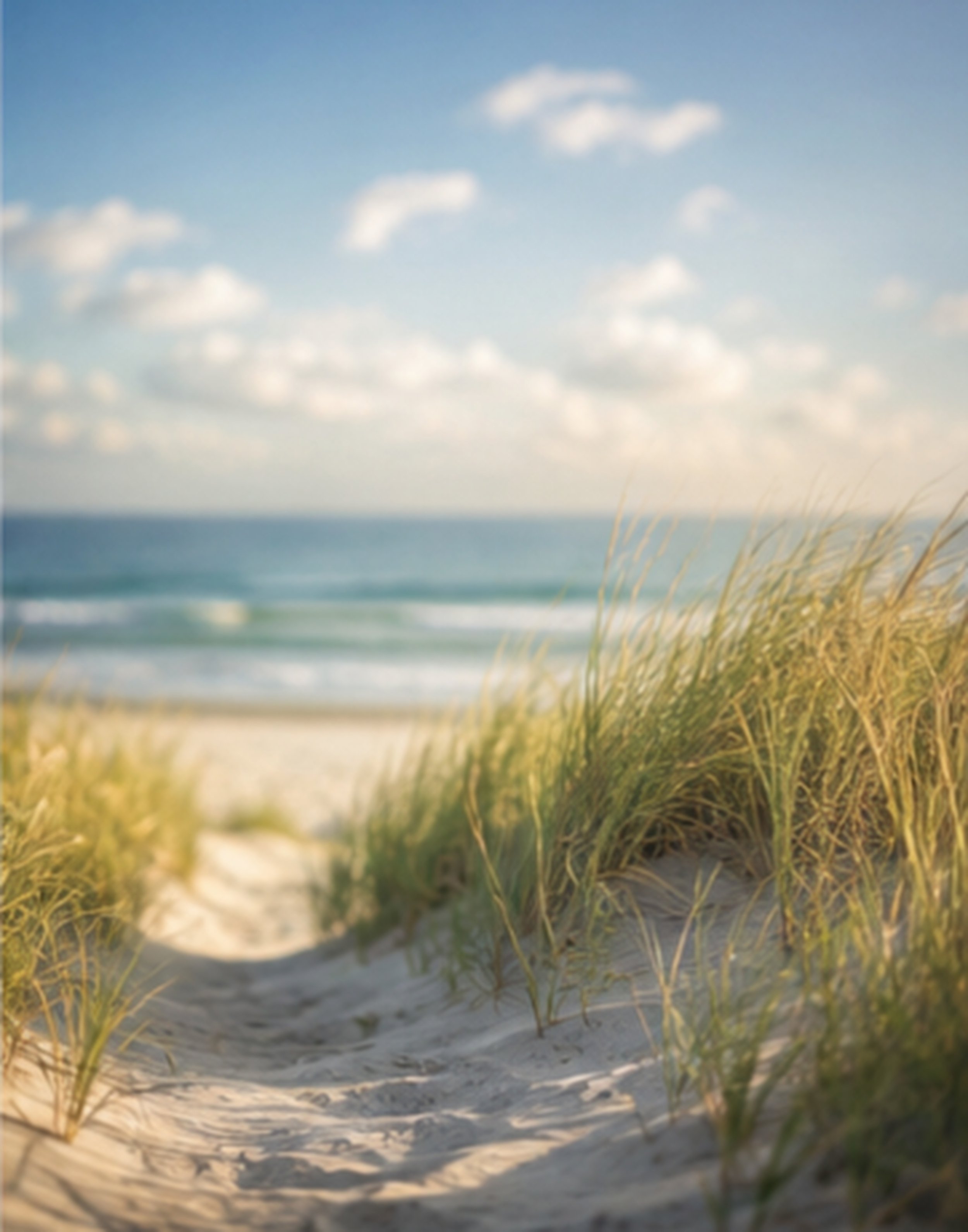 32 Beach Dune