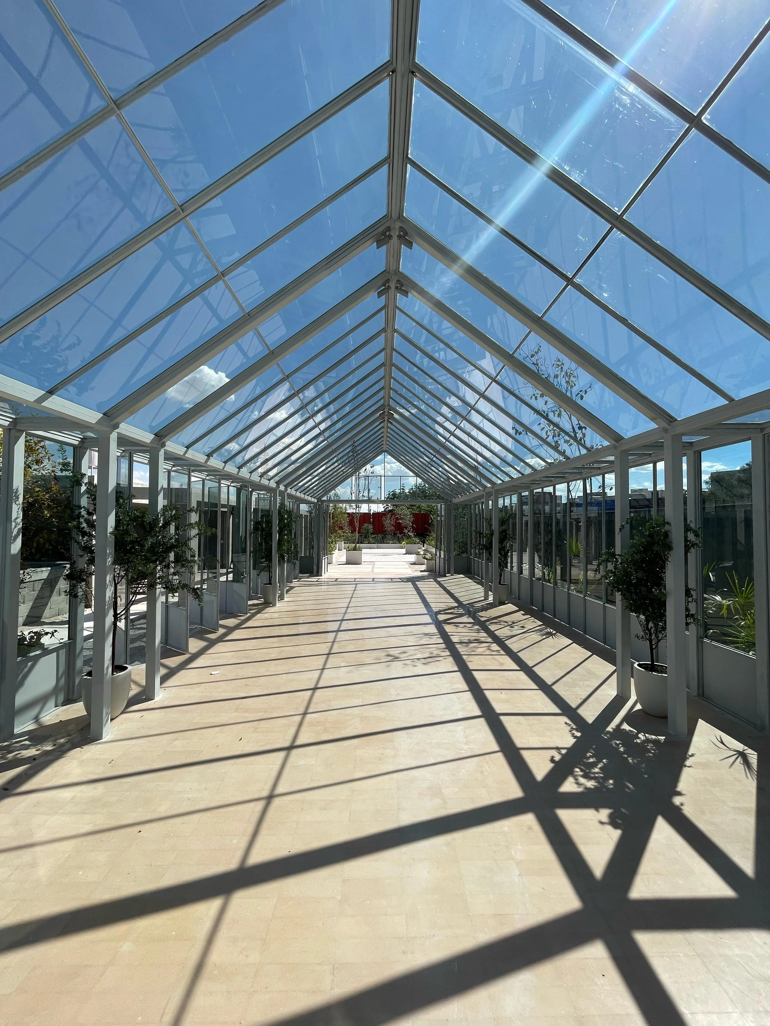 Sunlit glass greenhouse with potted plants and outdoor scenery visible through windows