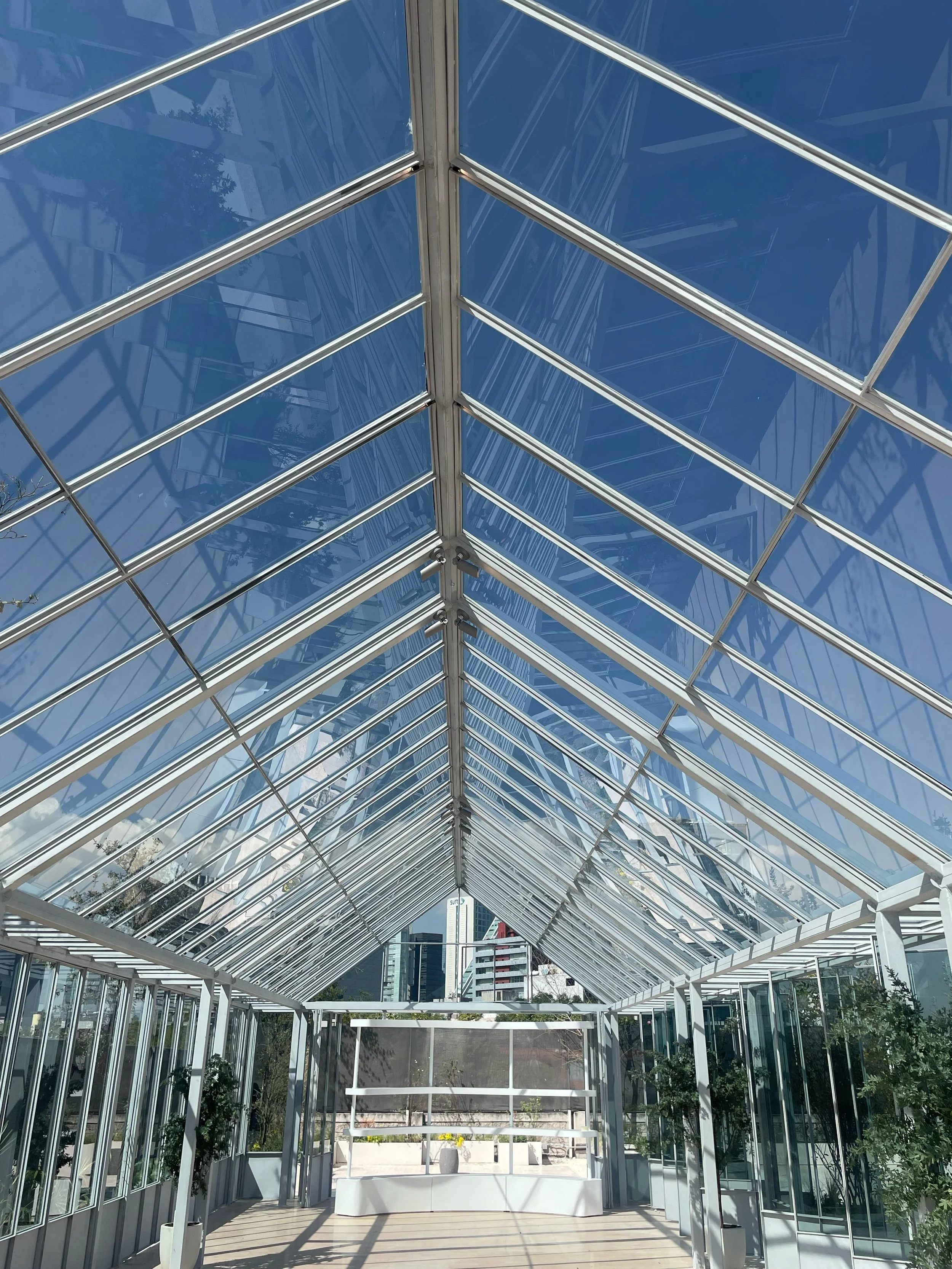 Inside view of a glass greenhouse or conservatory with a peaked glass roof and white metal framing, with potted plants and city buildings in the background.