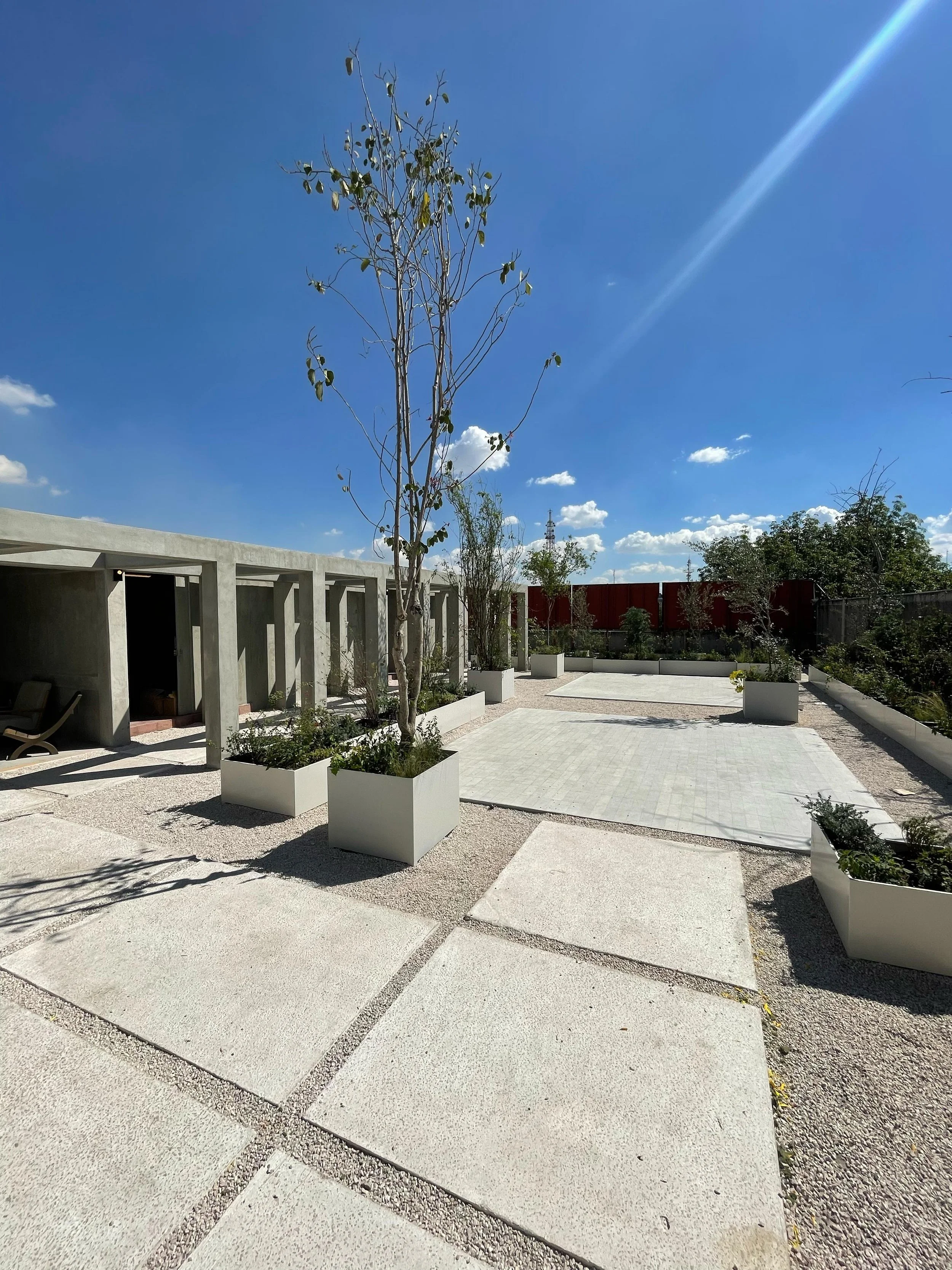 Modern outdoor patio with concrete paving stones, large planter boxes with trees and shrubs, and a clear blue sky.