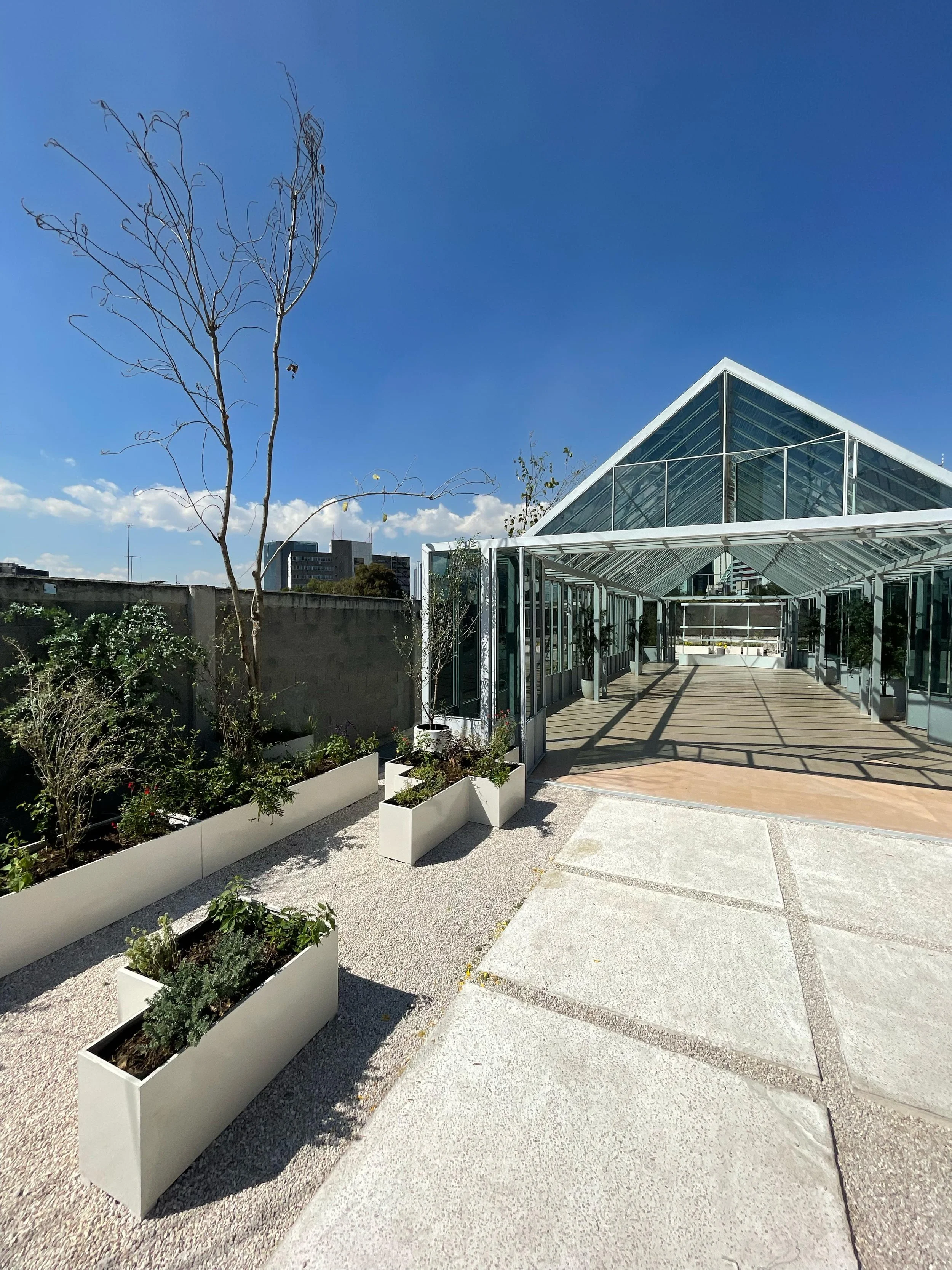 Modern rooftop terrace with glass greenhouse structure, potted plants, and concrete and wooden flooring under a clear blue sky.