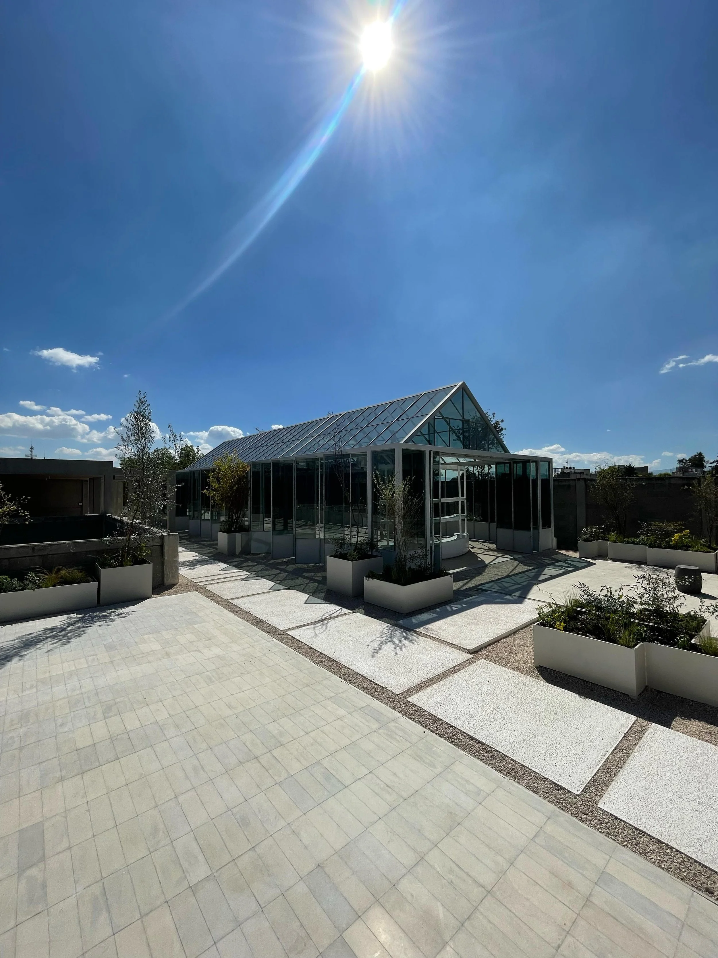 Modern glass greenhouse on a rooftop with potted plants and a paved patio under a bright blue sky with the sun shining.