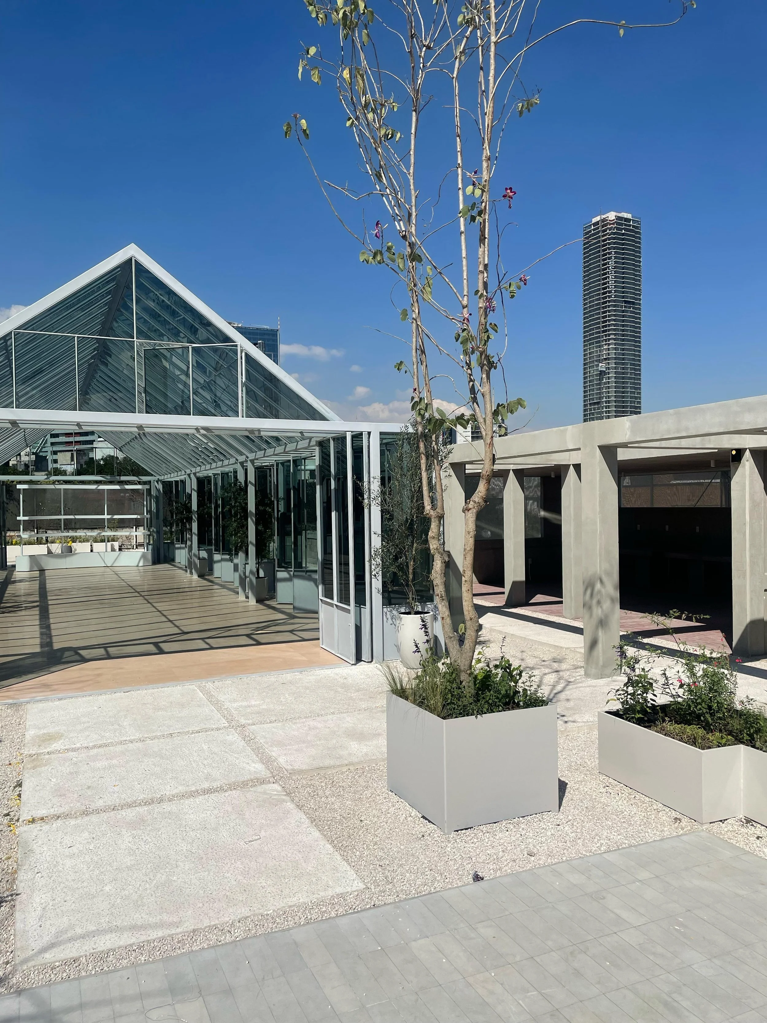 Modern building with glass walls and a sloped roof, potted trees and plants, concrete and paved surfaces, tall skyscraper in the background under a blue sky.