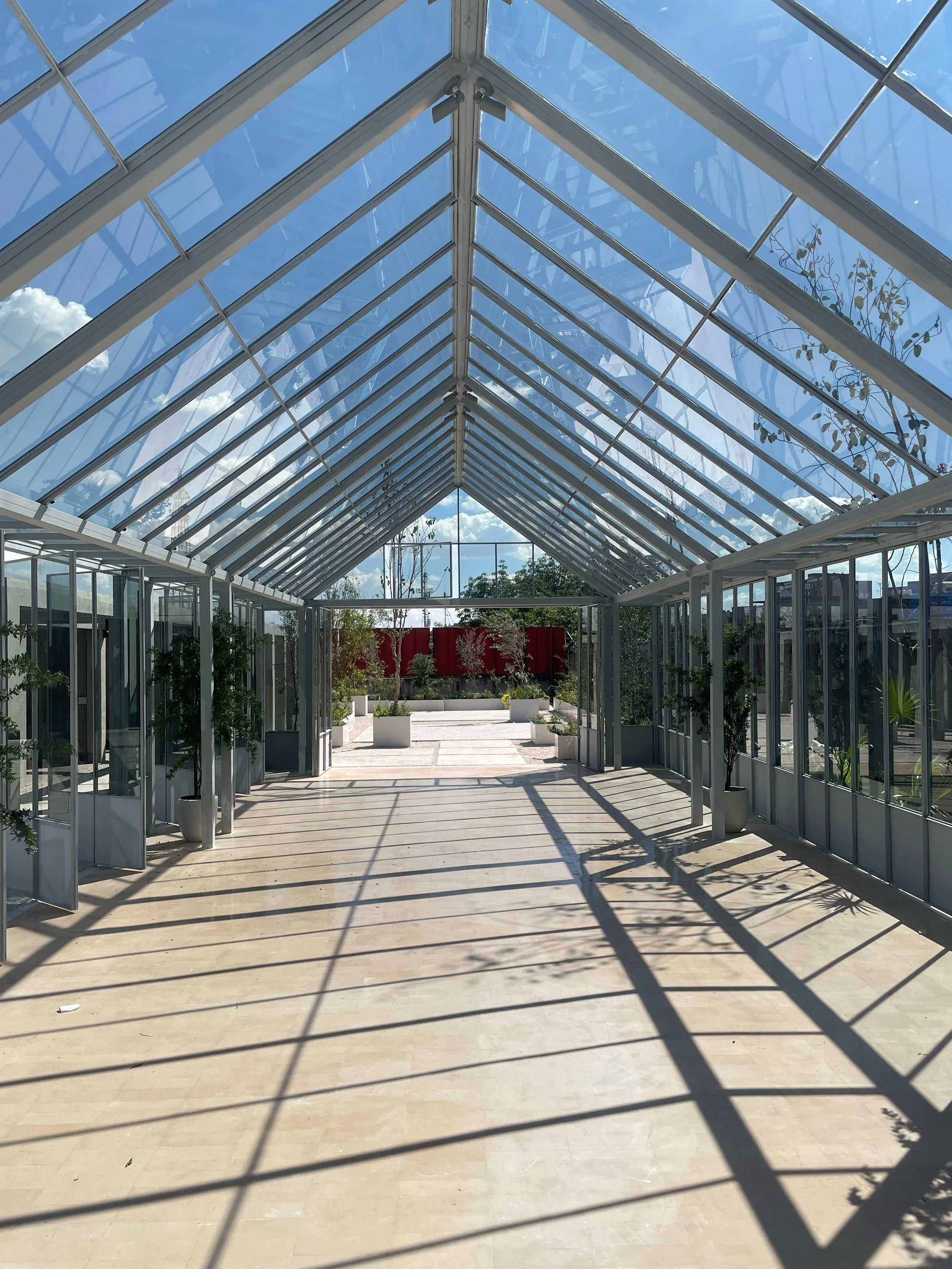 Empty glass greenhouse with sunlight casting shadows, potted plants inside, and a view of the sky and trees outside.