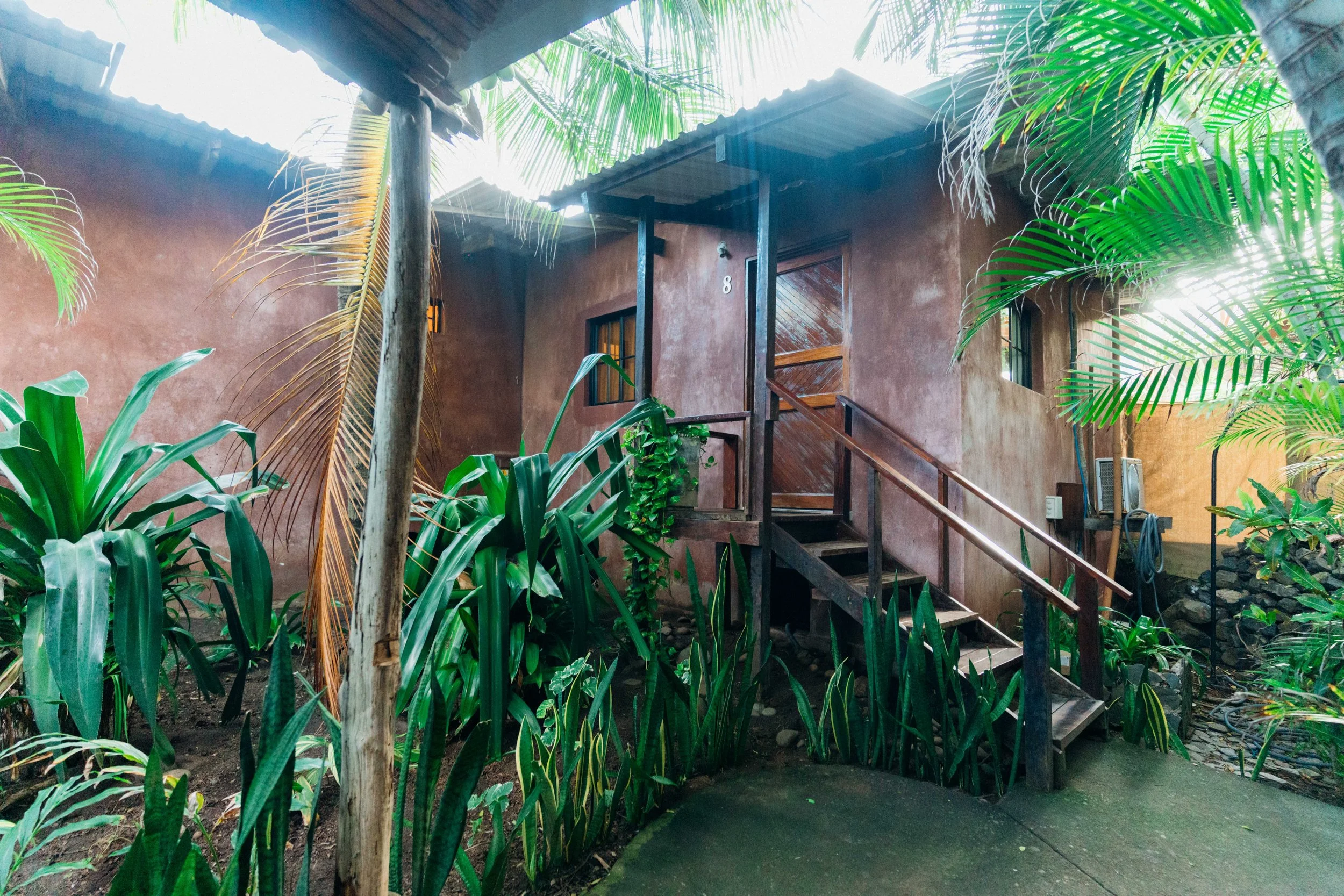 Copy of DSC00586.jpg