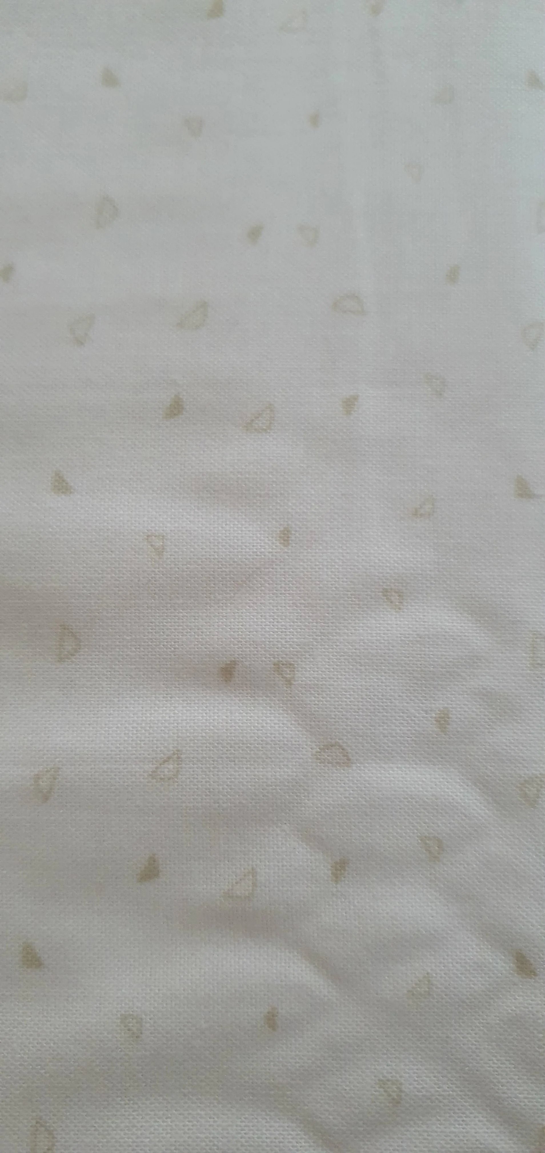 19edb2f8-1564-42e4-ad52-c770995be9cf.jfif