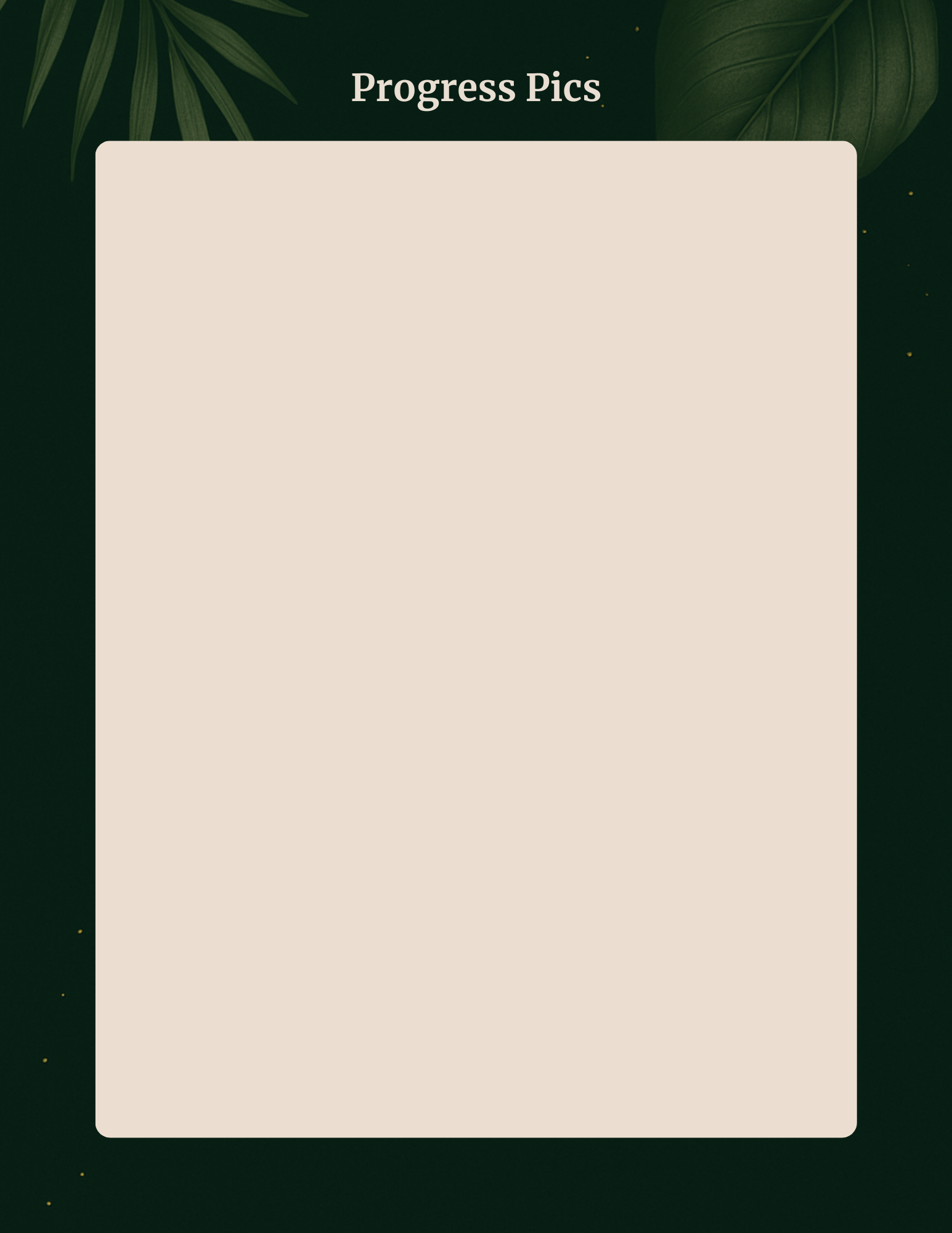 5.png