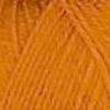 132 Pumpkin.jpeg