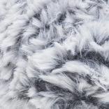204 Chinchilla GFF.jpeg