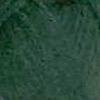 131 Forest Green.jpeg