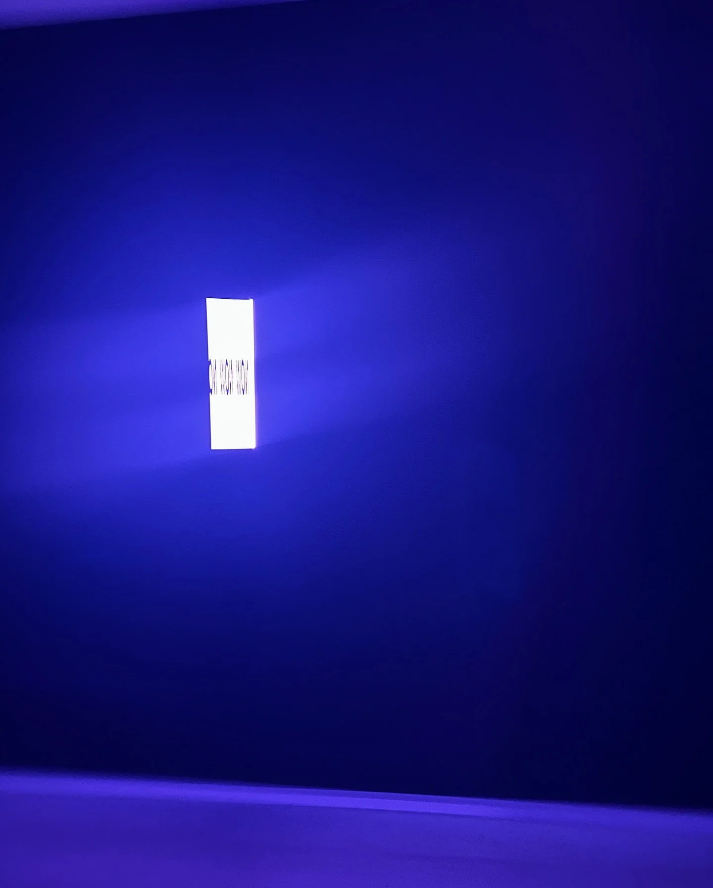 Thr Long Now
Saatchi Gallery 
-
-
-
-
#SaatchiGallery #TheLongNow #LondonArt #ContemporaryArt #2050 #RichardWilson #JennySaville #OlafurEliasson #ProcessArt #ImmersiveArt #ArtAndClimate #ArtInLondon #timnoble #jakechapman #contemporaryart