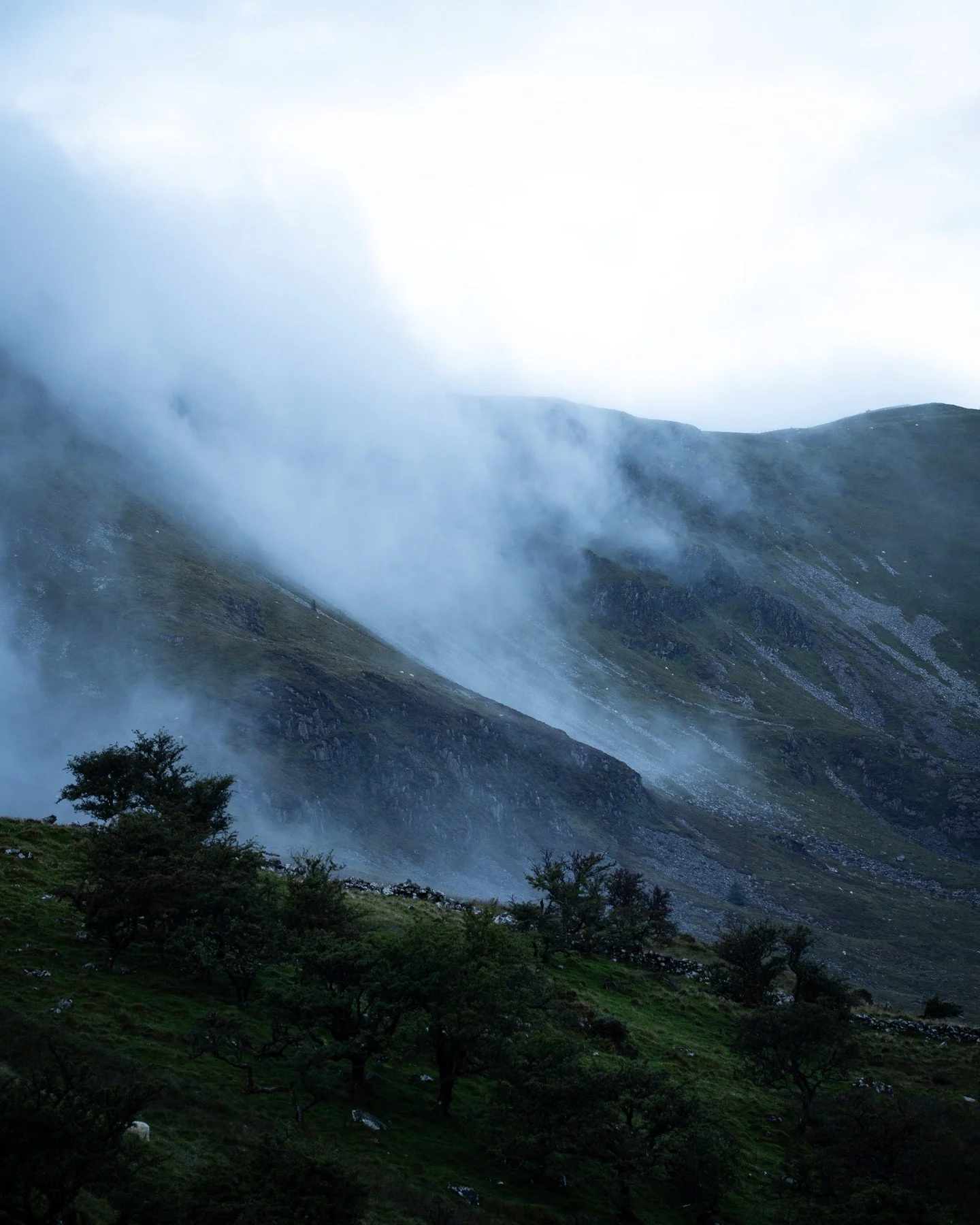 Morning mist moving down the foothills of Cadair Idris, Eryri.

The mountain edge appears and recedes as the mist shifts, as does scale.

#ContemporaryArt #LandscapePhotography #CadairIdris #Eryri #StephenWadcock