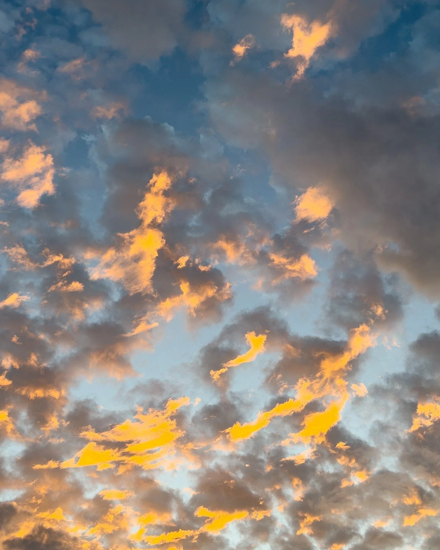 Cloud study. Evening, King's Road.

#CloudPhotography #SkyStudies #LondonPhotography #ContemporaryPhotography #FineArtPhotography