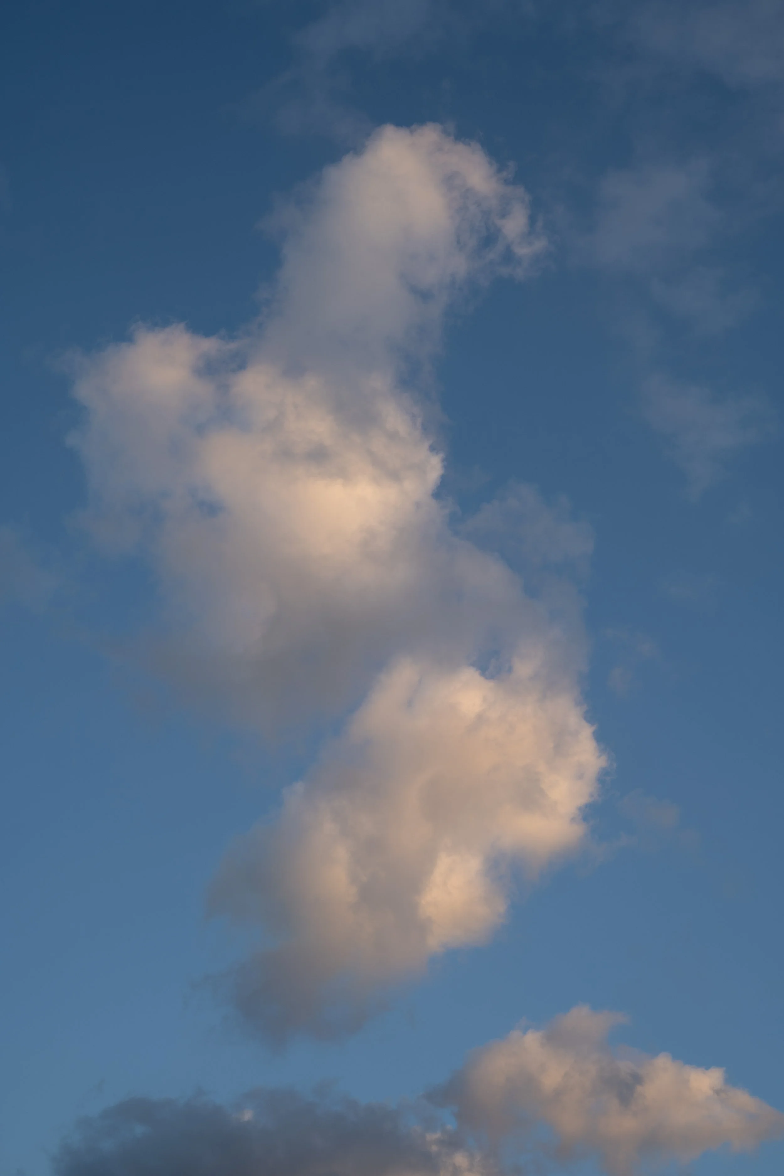 Wadcock_Source-37.jpg